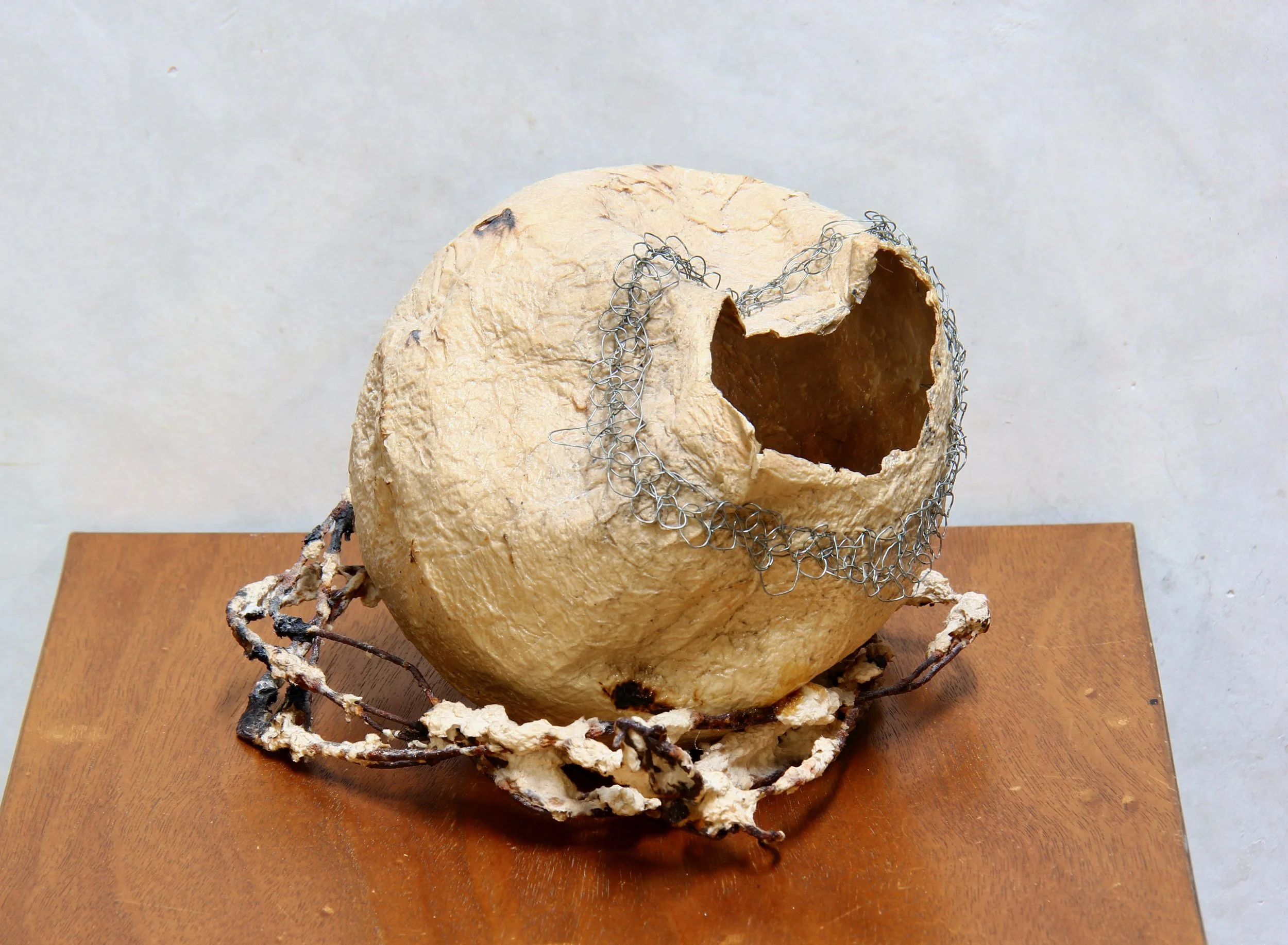   Sculpture No.12 by Bestia Bei