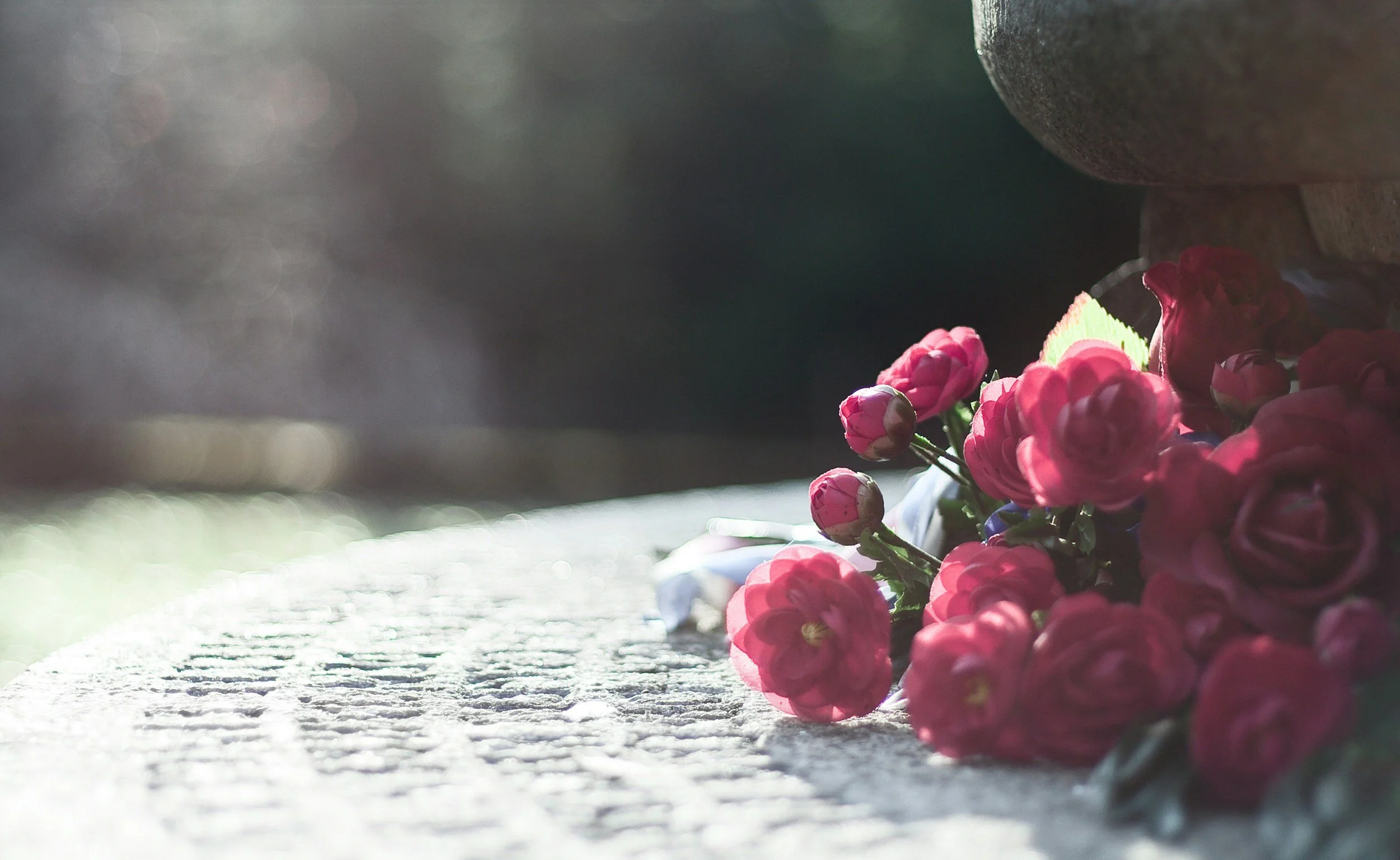 Understanding Grief: Stages, Healing, and Honoring Loss