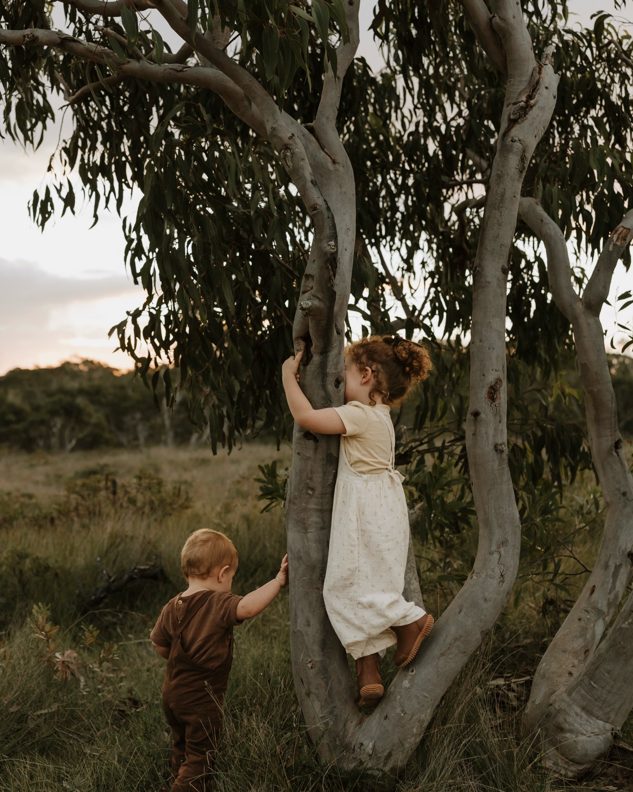 The real reason I do this, and it isn&rsquo;t the pretty photos.

It&rsquo;s not even really for you.

It&rsquo;s for them.

Your babies. Your little loves. The ones who will one day ask:

&ldquo;What was I like when I was little?&rdquo;

You&rsquo;l