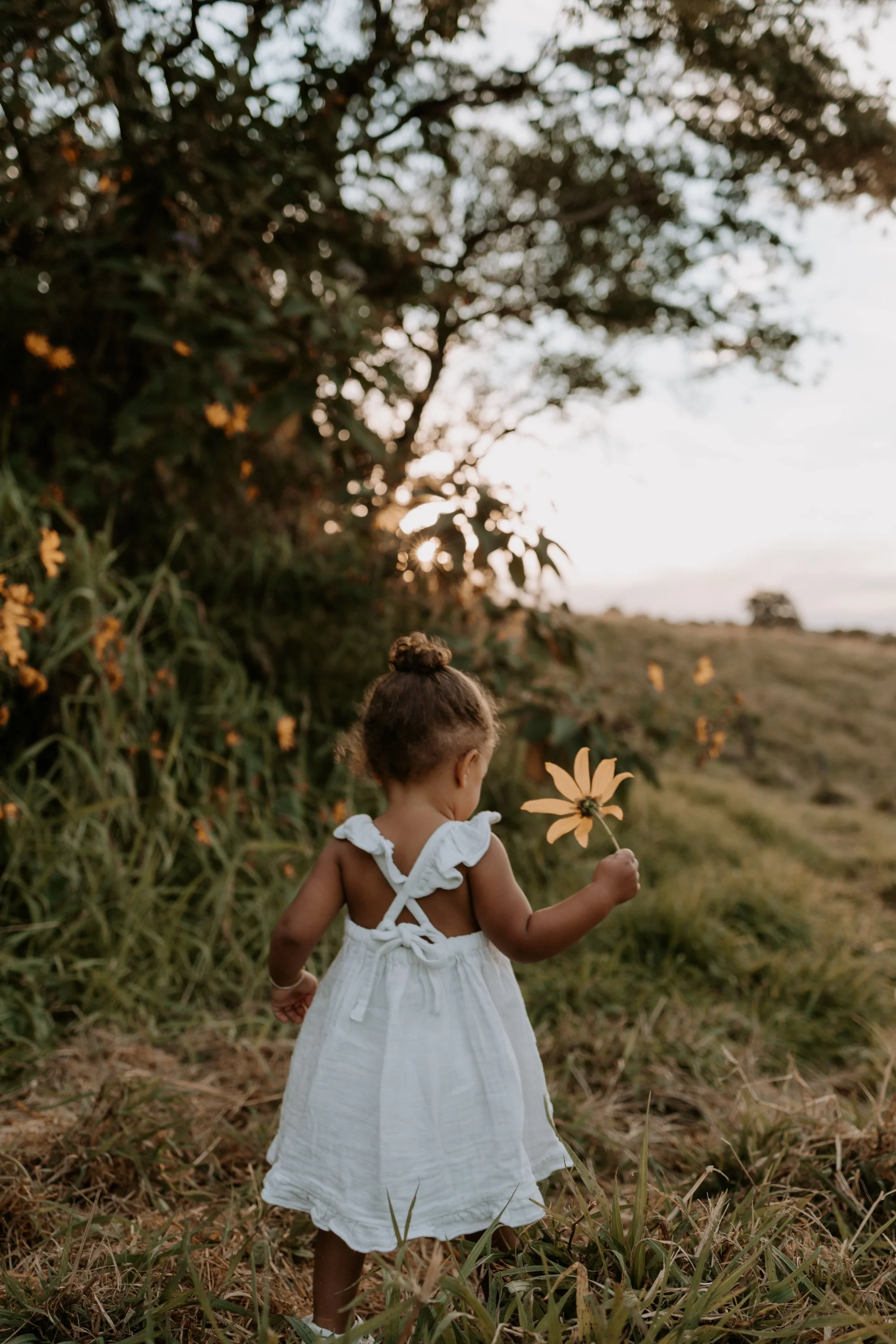 child-flower-field-sunset-sunshine-coast