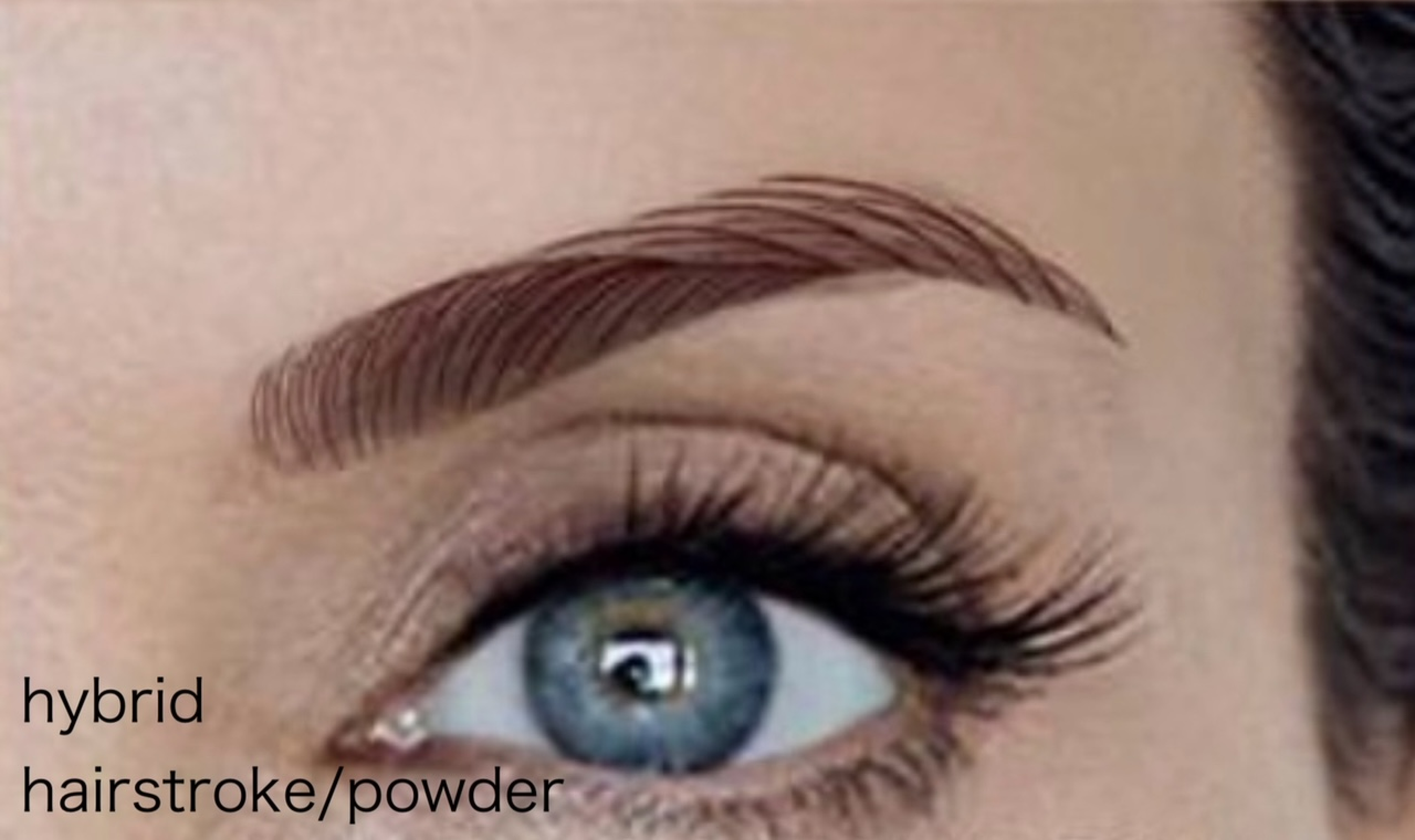 A close-up of an eye demonstrating hybrid brows, a combination of hairstroke and powder techniques for enhanced depth and dimension.