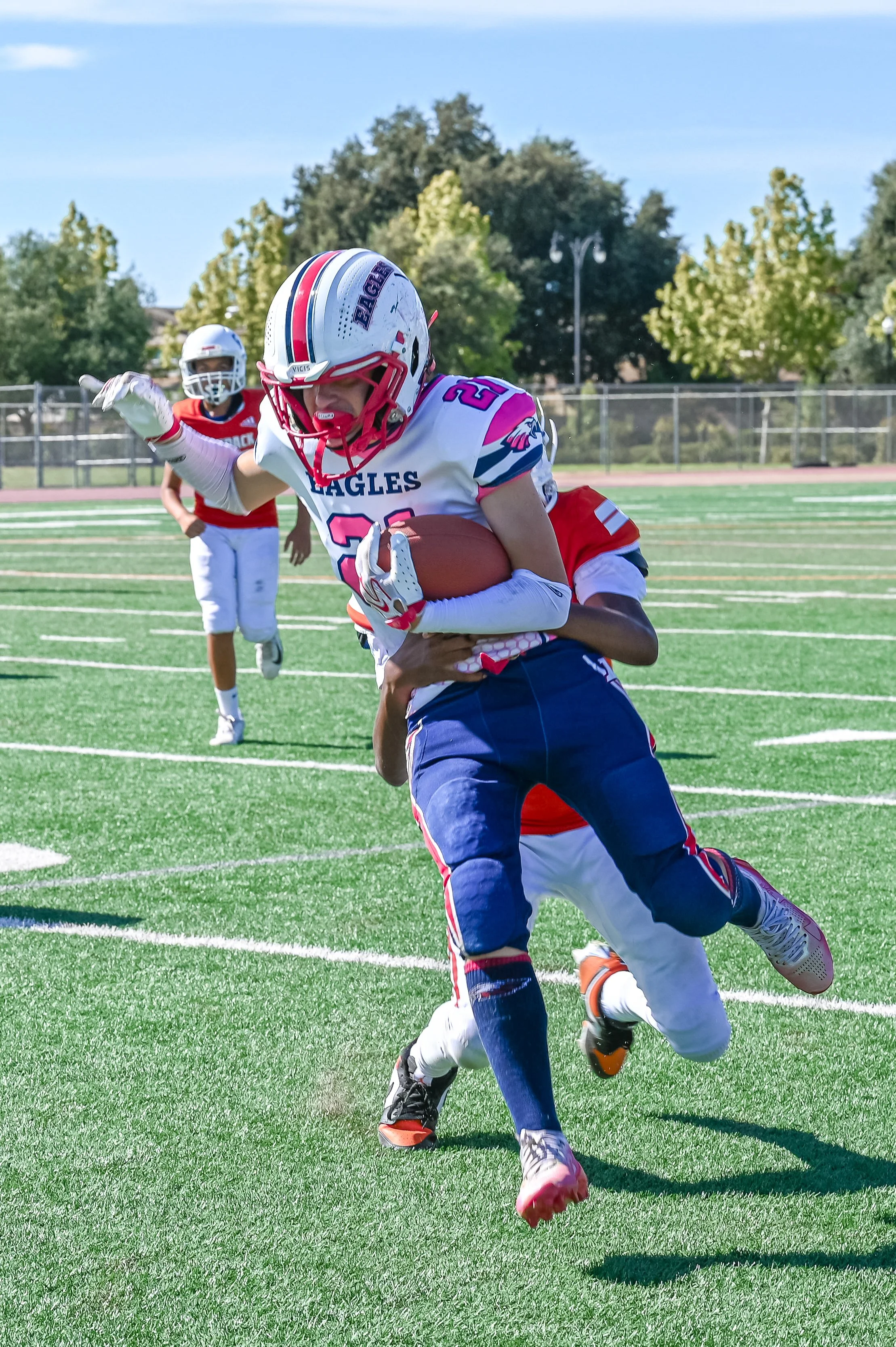 DSC_2037.jpg