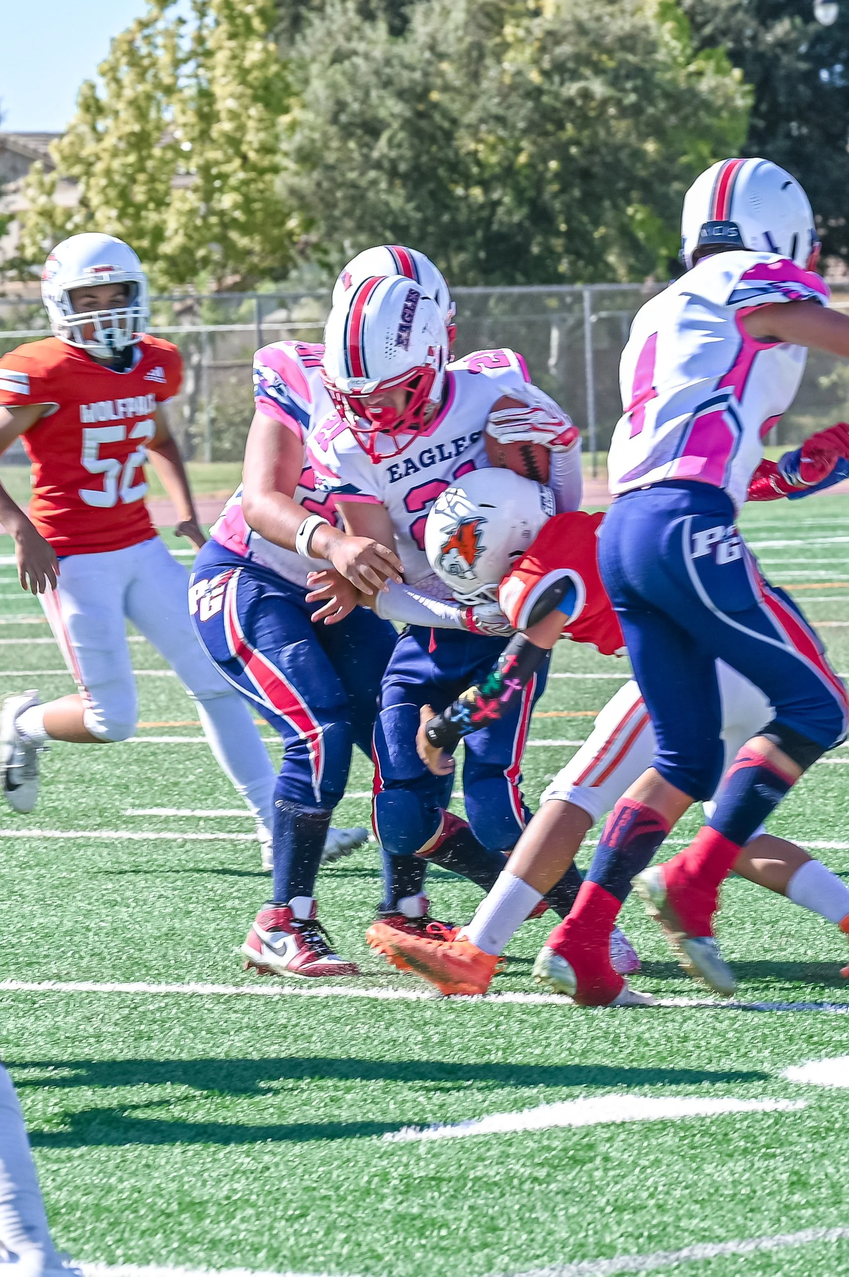 DSC_2015.jpg