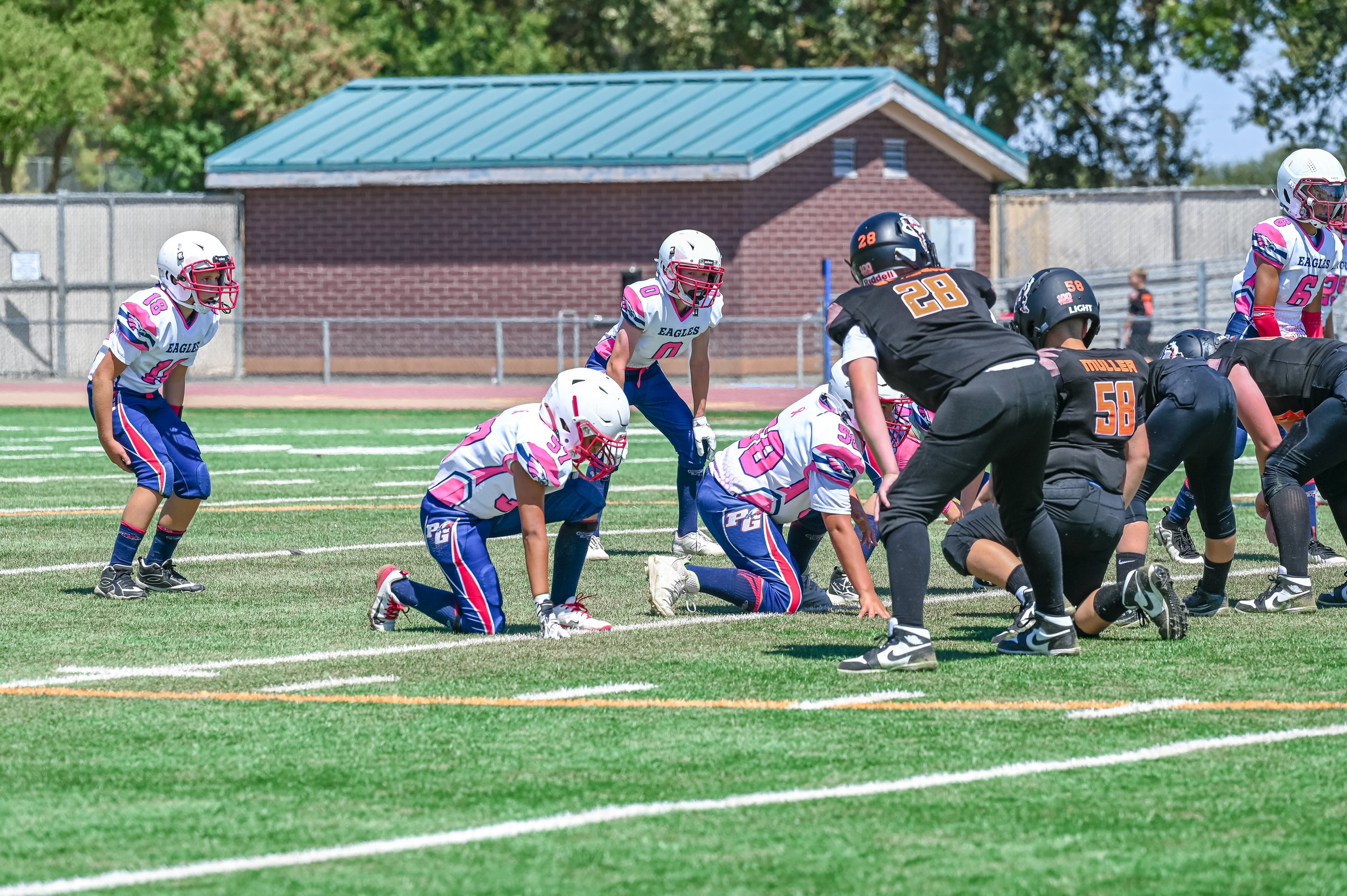 DSC_1054.jpg