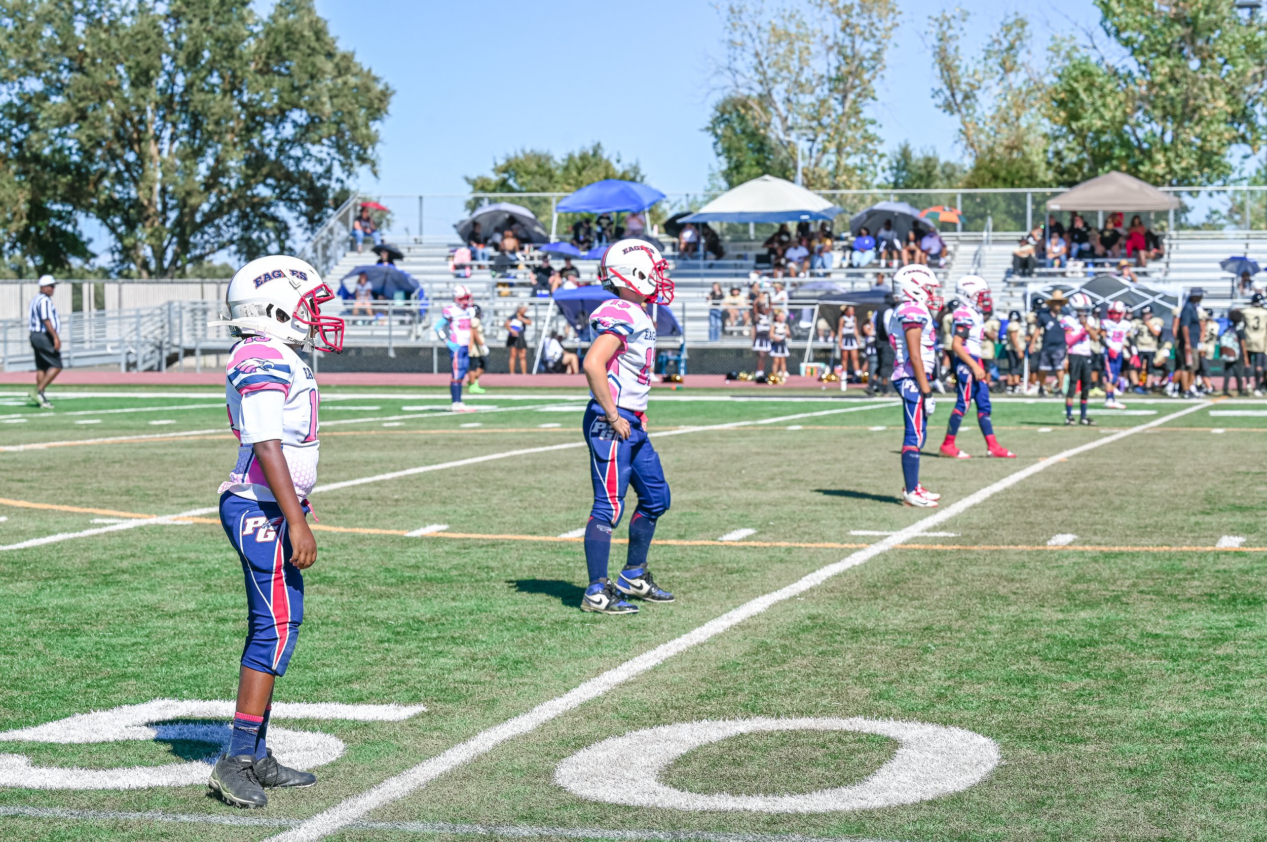 DSC_2779.jpg