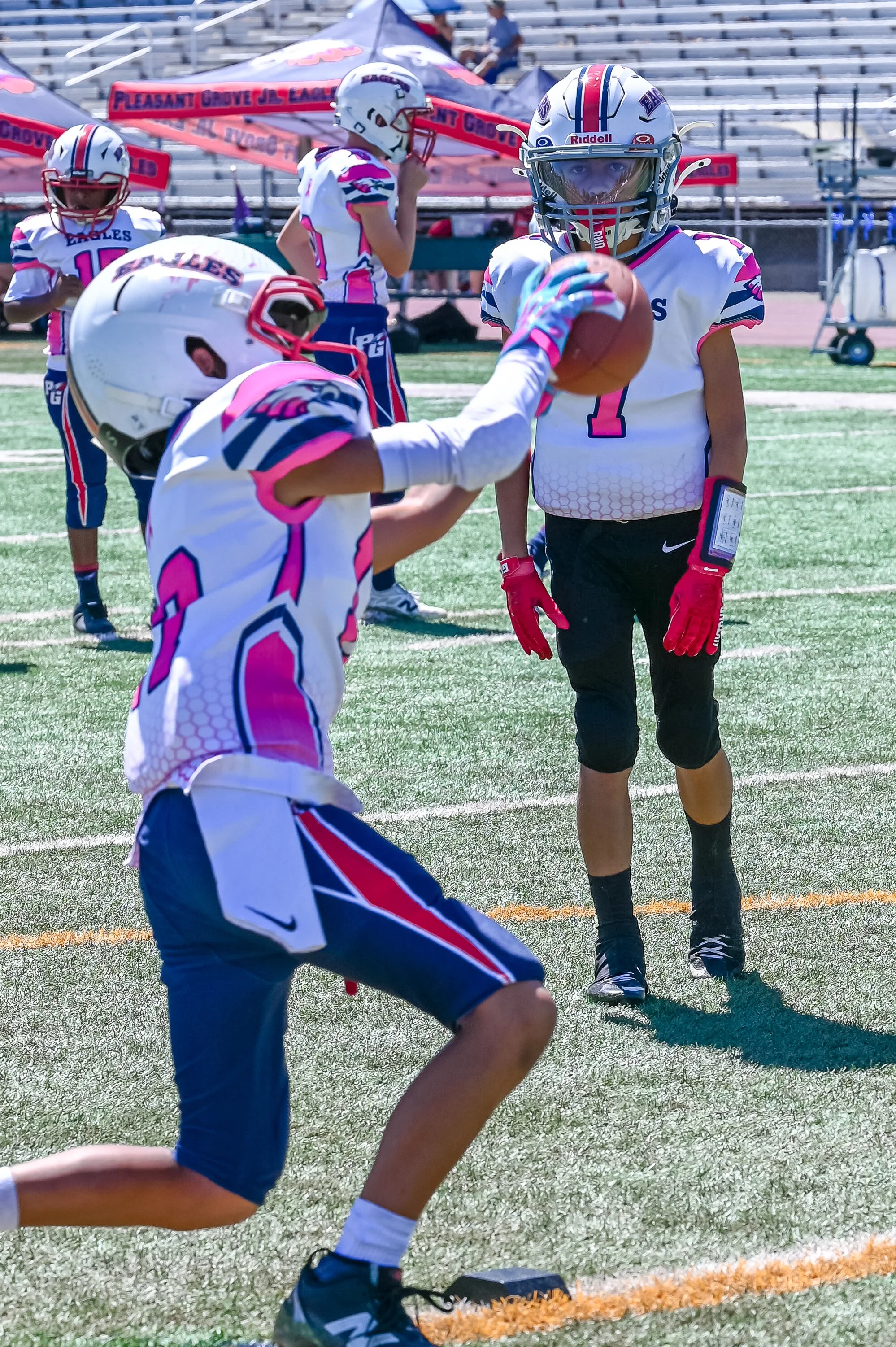 DSC_2387.jpg