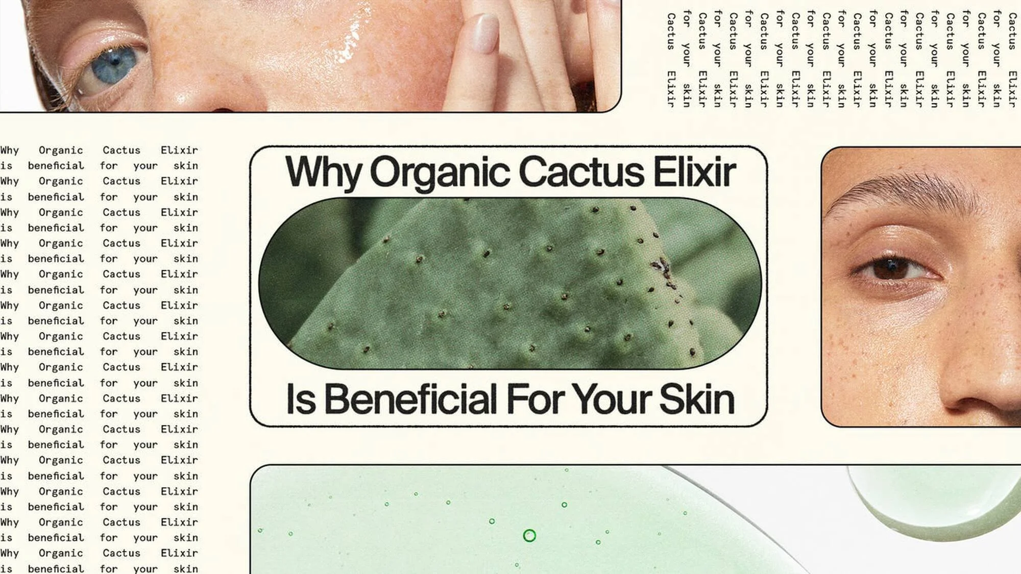 Brochure page promoting organic cactus elixir, featuring close-up images of a person's face with clear skin, a cactus, and abstract circular designs.