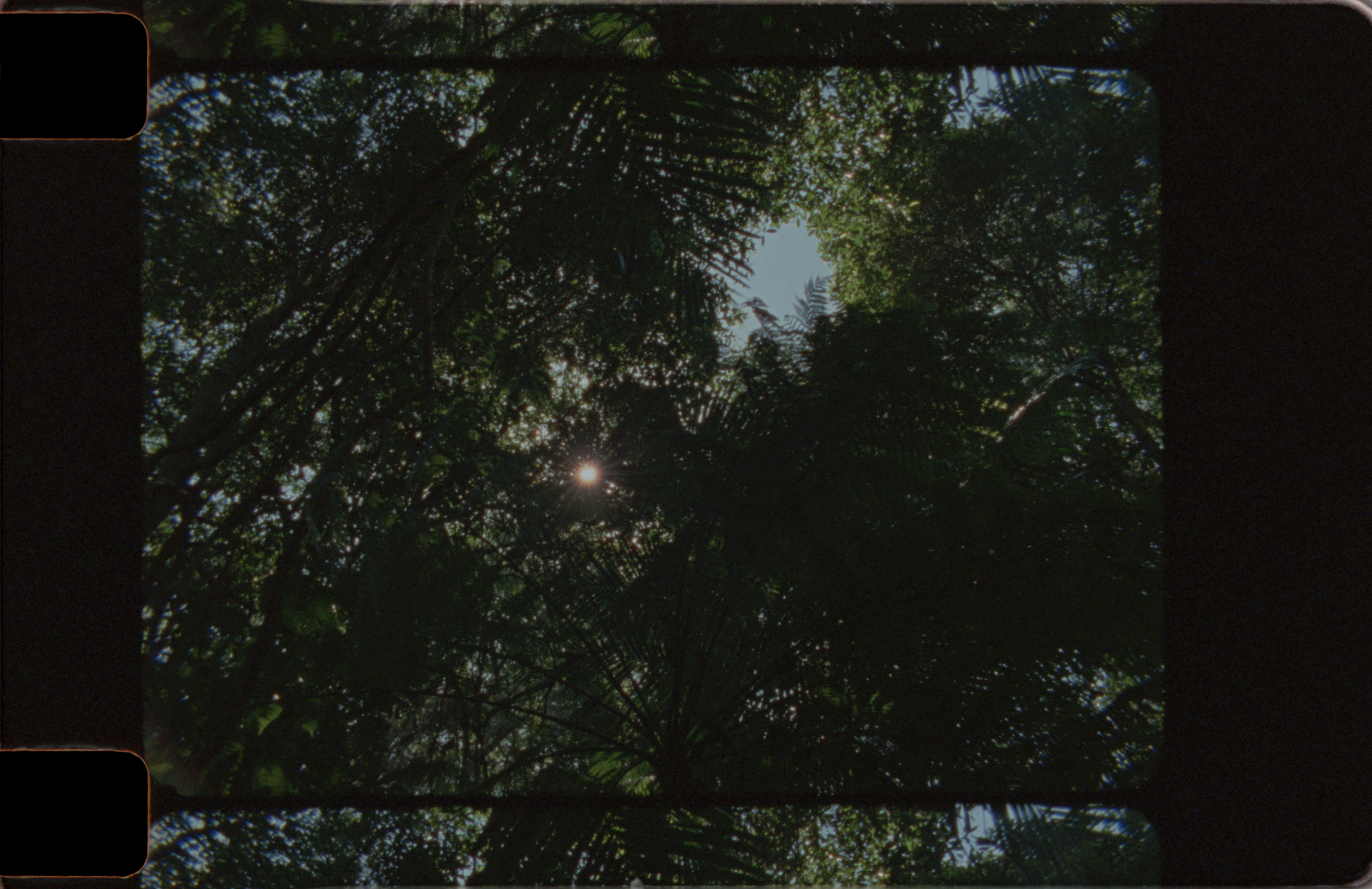 Screen Shot 2024-10-15 at 8.44.53 pm copy.PNG