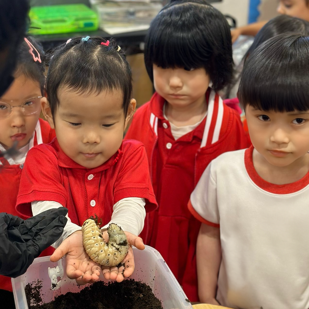 Children from Singaporean schools participating in Beetle Buds’ nature-based learning program with live beetles