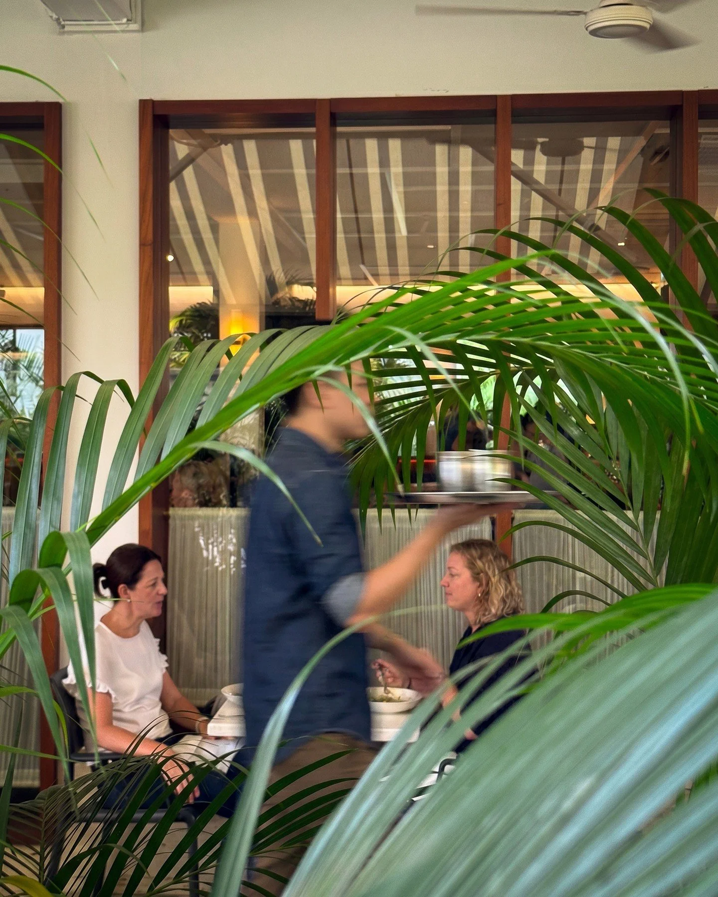Slow twinkling jazz and wind in the palms. Our terrace dining is available to book online and our terrace lounge is open for walk ins. Bring your dog and your friends.⁠
⁠
#hollandvillage #chipbeegardens #sgfoodie #singaporedining #sglunch #sgdinner #