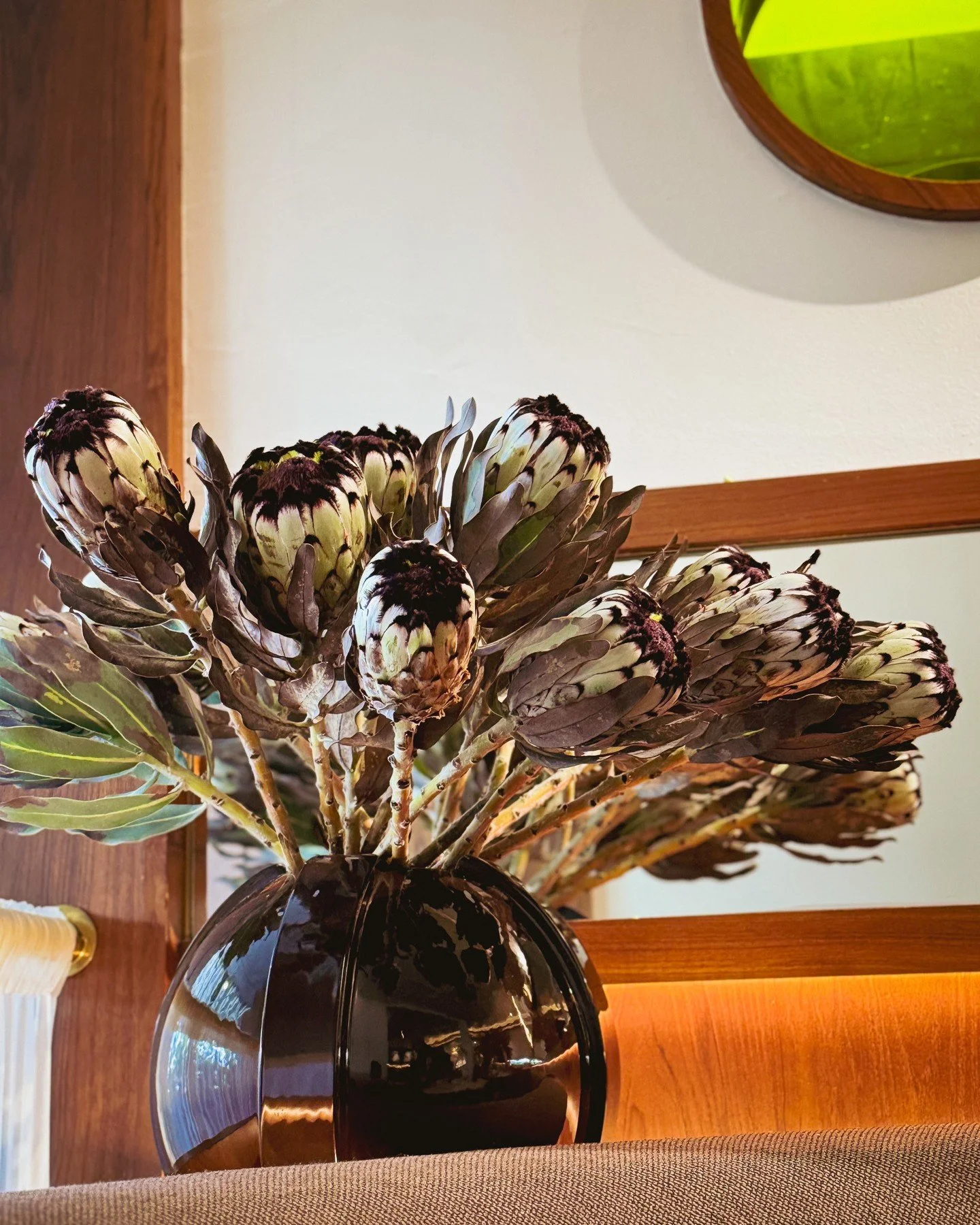 Queen Protea.⁠
⁠
#hollandvillage #chipbeegardens #sgfoodie #singaporedining