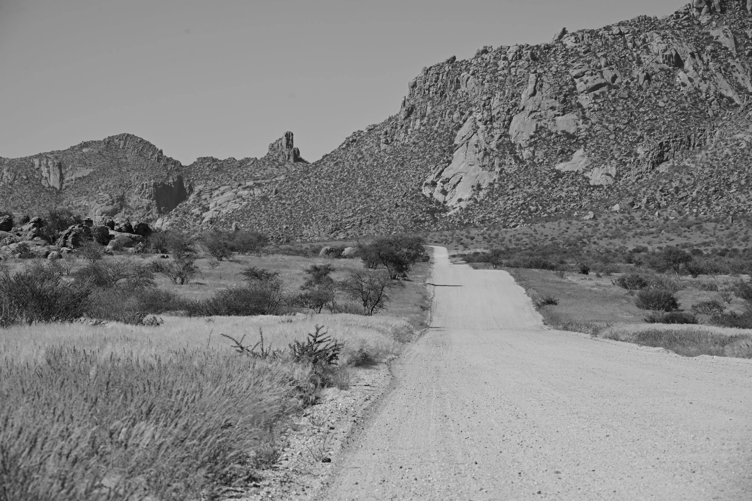 DSC_2116.JPG