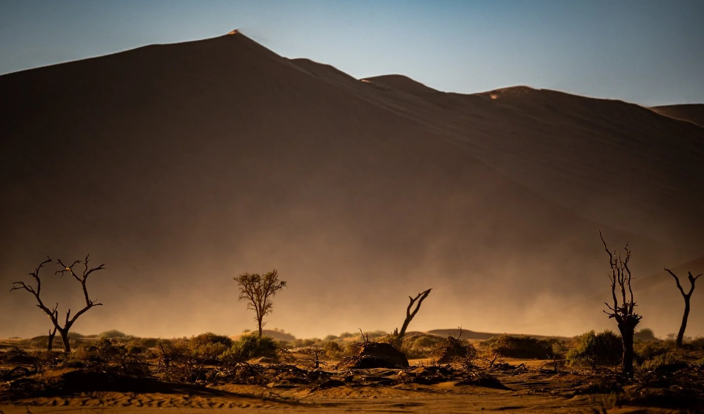 Namibia blogs are live..Journey of diamonds and dust part 1 and 2 on the epic journey the amazing @sar__eliz  and I had in Namibia..we had such an incredible time and I&rsquo;m so grateful for the Antarctica trip for meeting such amazing people it ma