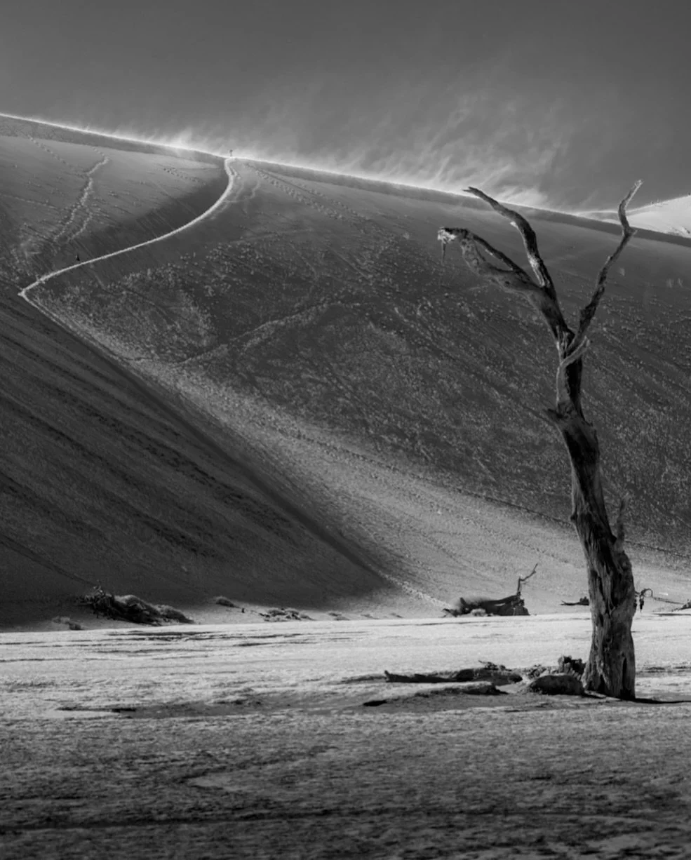 Deadvlei..Namibia..remembering the desert and wanting to protect fragile locations the beautiful ancient camel thorn trees..i love shooting iconic locations differently and yes i permanently now have one camera set to black and white..#BlackAndWhiteP