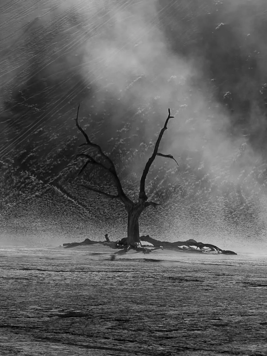 Part of Diamonds and Dust Namibia series which will be released in full on my website next year. I have released 4 new galleries from Antarctica to Tibet and Everest. A glimpse into Deep Heart Earth&reg;. Your thoughts mean a lot id love to hear what