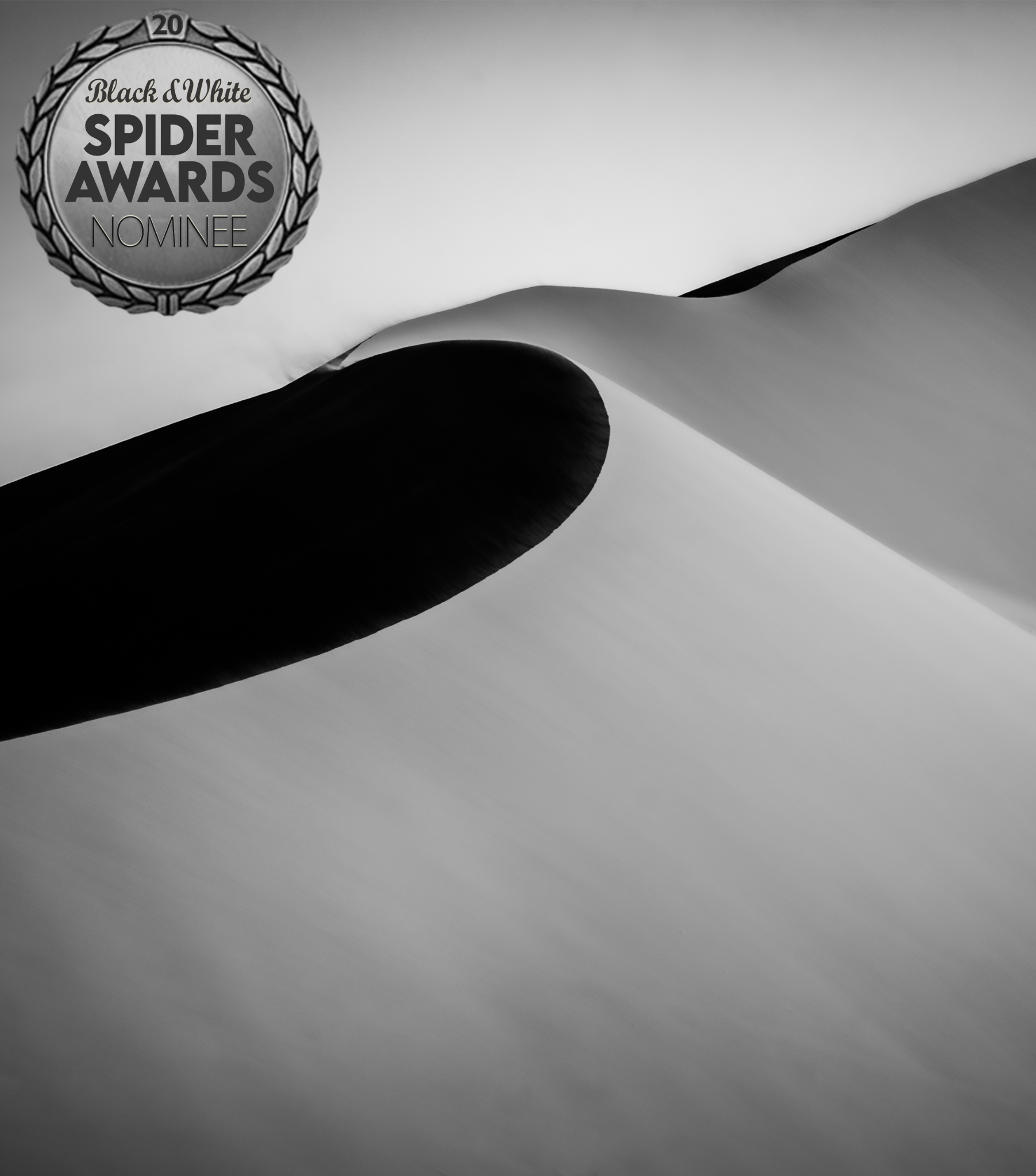 Untitled design(4).png