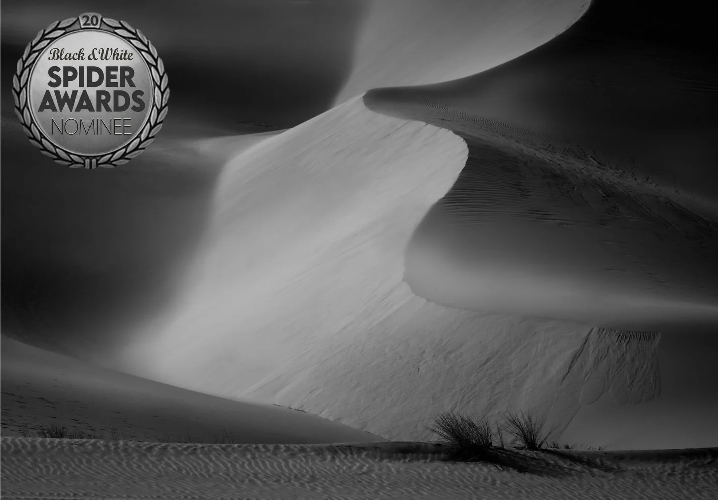 Honoured to receive International recognition as a three time Nominee in the Nature category in the prestigious 20th Annual Black and White Spider awards.These works were recognised by an International jury of leading galleries, curators, directors a