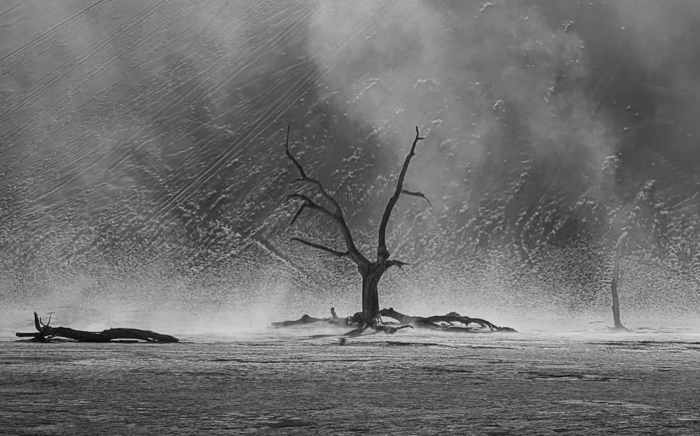 Diamonds and Dust Namibia&hellip;the full series is now live on my website if you would like to see.
Thank you to my gorgeous friend @sar__eliz for the company ,miles, the music, the laughter, and for seeing the land the way I do, even when it meant 