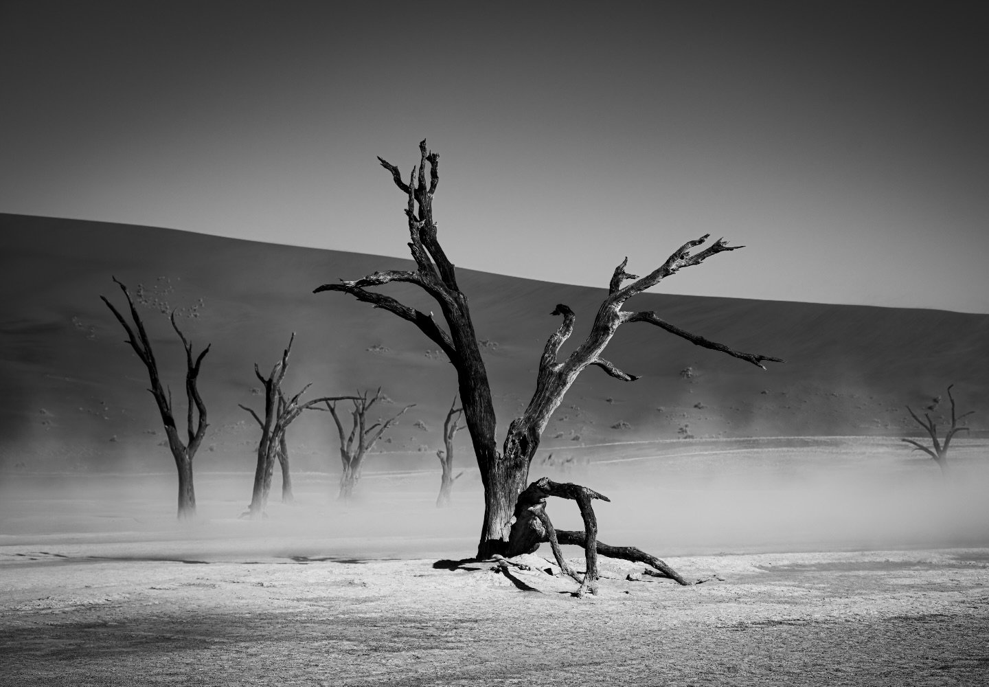 &ldquo;Still Standing&rdquo; Diamonds and Dust Namibia 2025..what remains,remains. Wabi-Sabi in Deadvlei ,the beauty in the broken strength. We need to protect these beautiful places such as the 900 year old camel thorn trees..traveling is a privileg