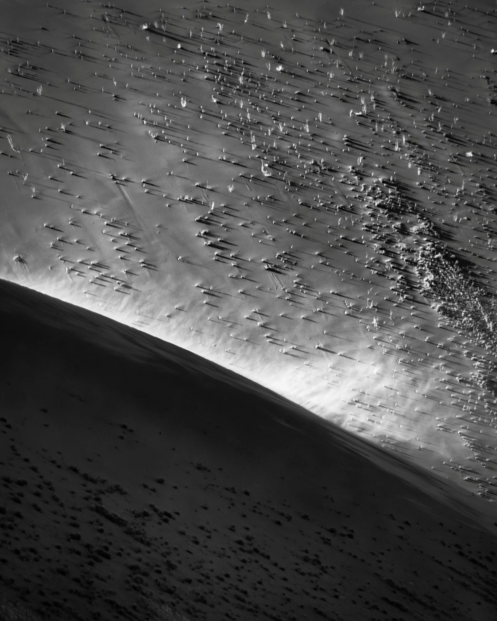 &ldquo;Sand fires&rdquo; Diamonds and Dust series Namibia 2025. Regrowth in dunes after the rains,Deadvlei.  Advocating for and honouring places that need protecting. Deep Heart Earth&reg; #namibia #landscapephotography #deepheartearth #conceptualpho
