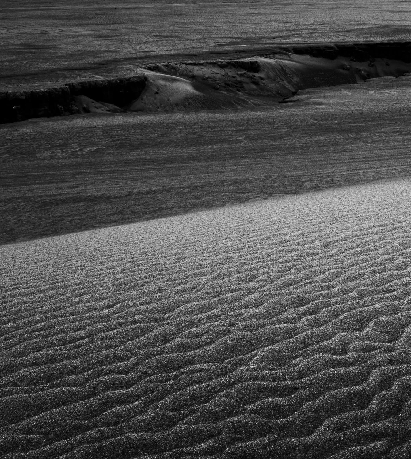Black and white photograph of a vast desert landscape with sand dunes and ripples.