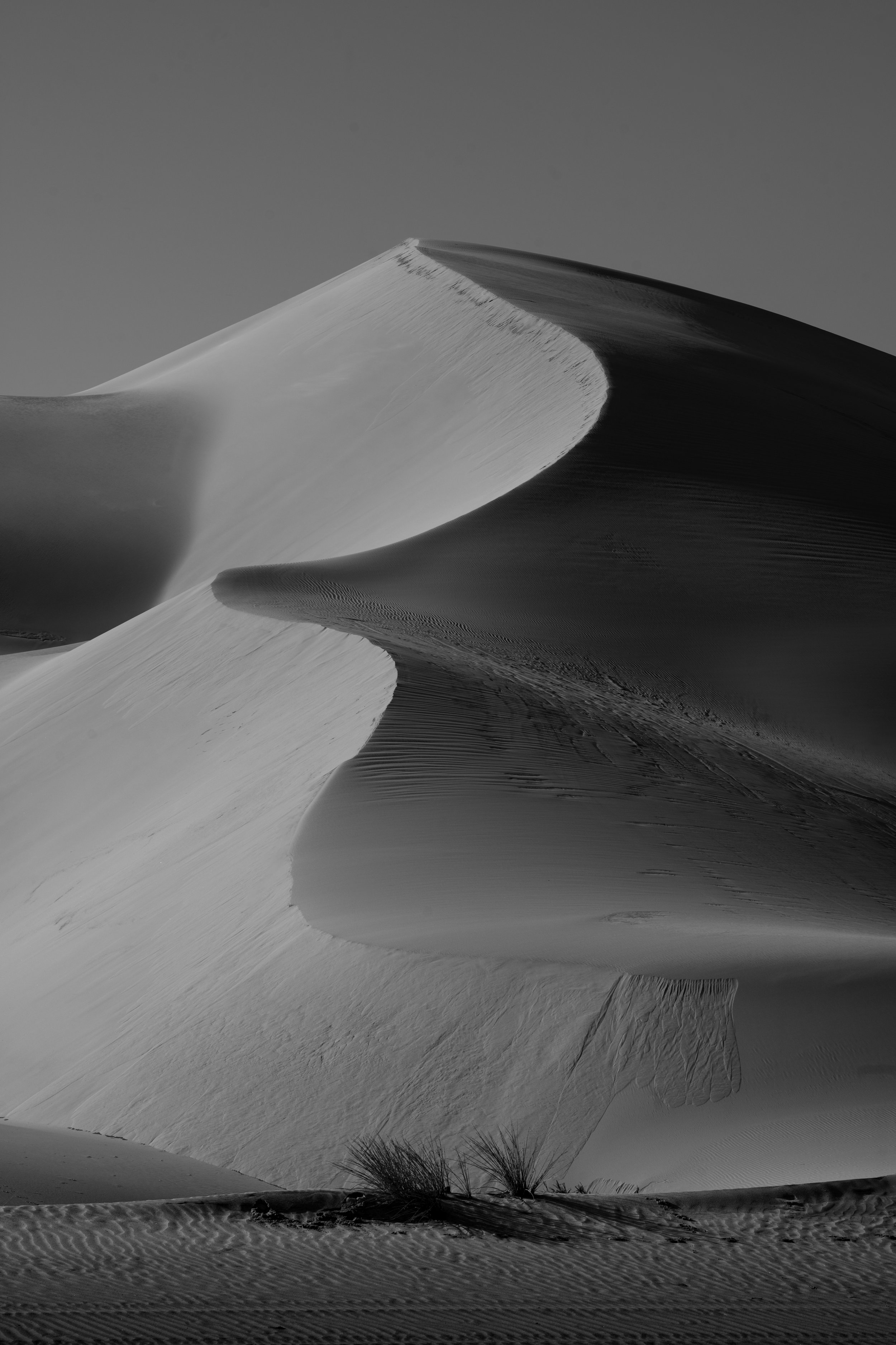Black and white photograph of sand dunes with sharp ridges and textured surfaces, with sparse desert vegetation at the base.