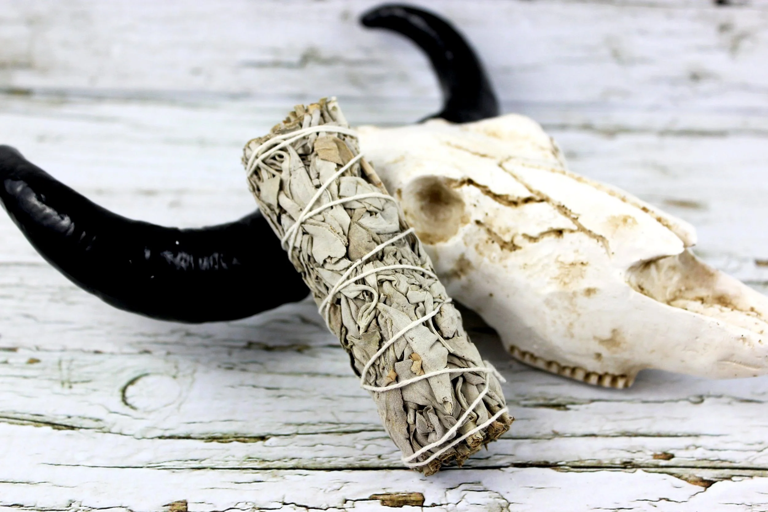 White Sage Smudge Bundle - 4 Inch