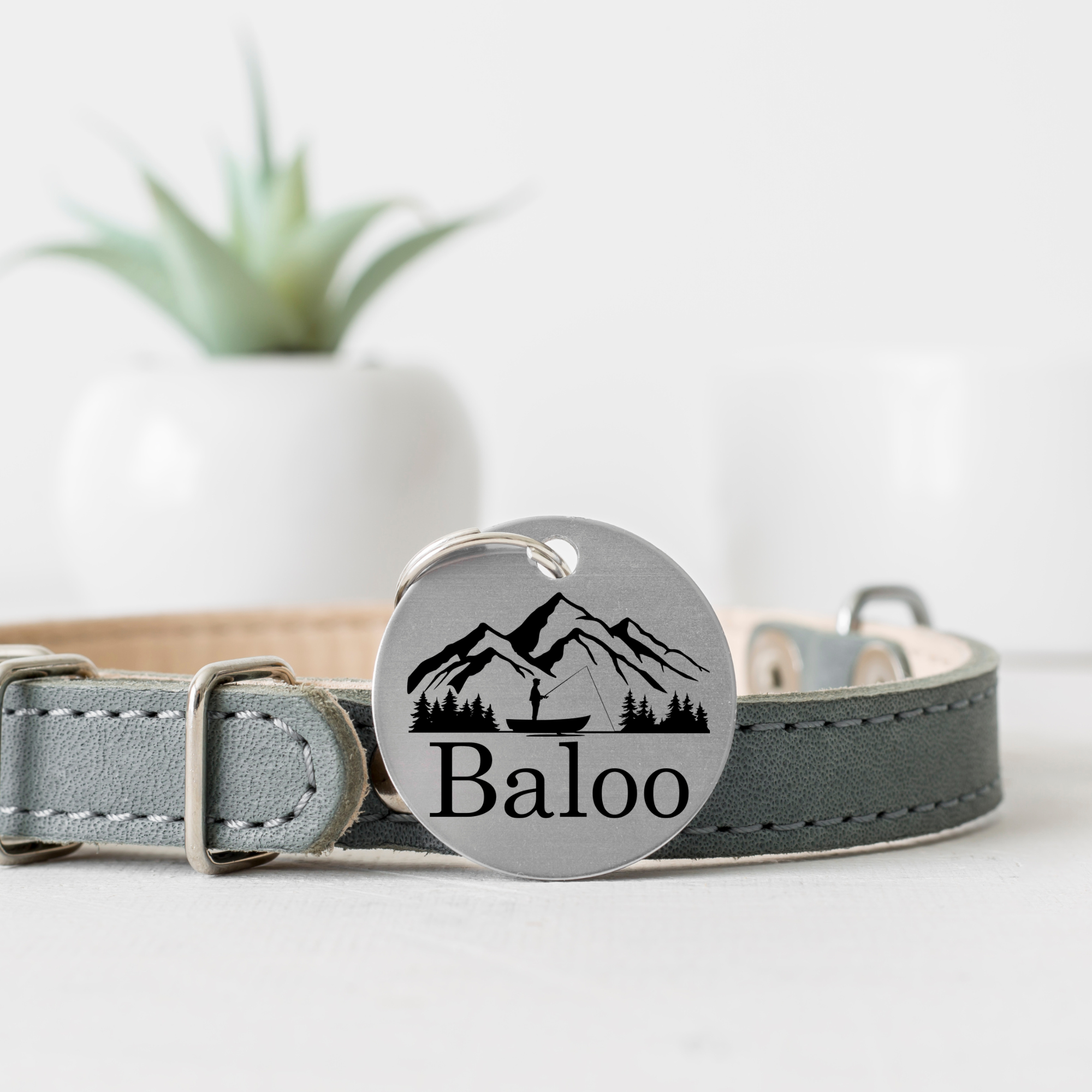 Baloo.png