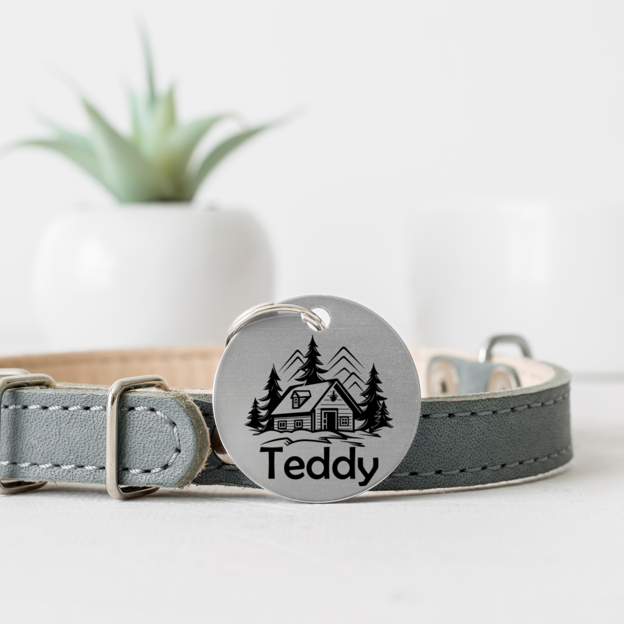 Teddy.png