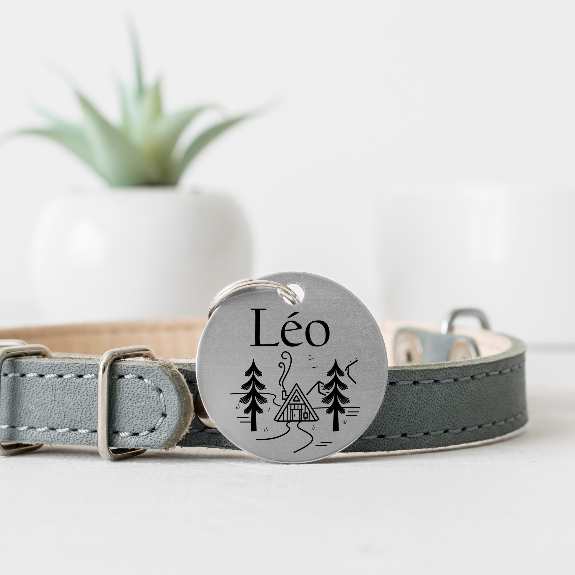 Leo.png