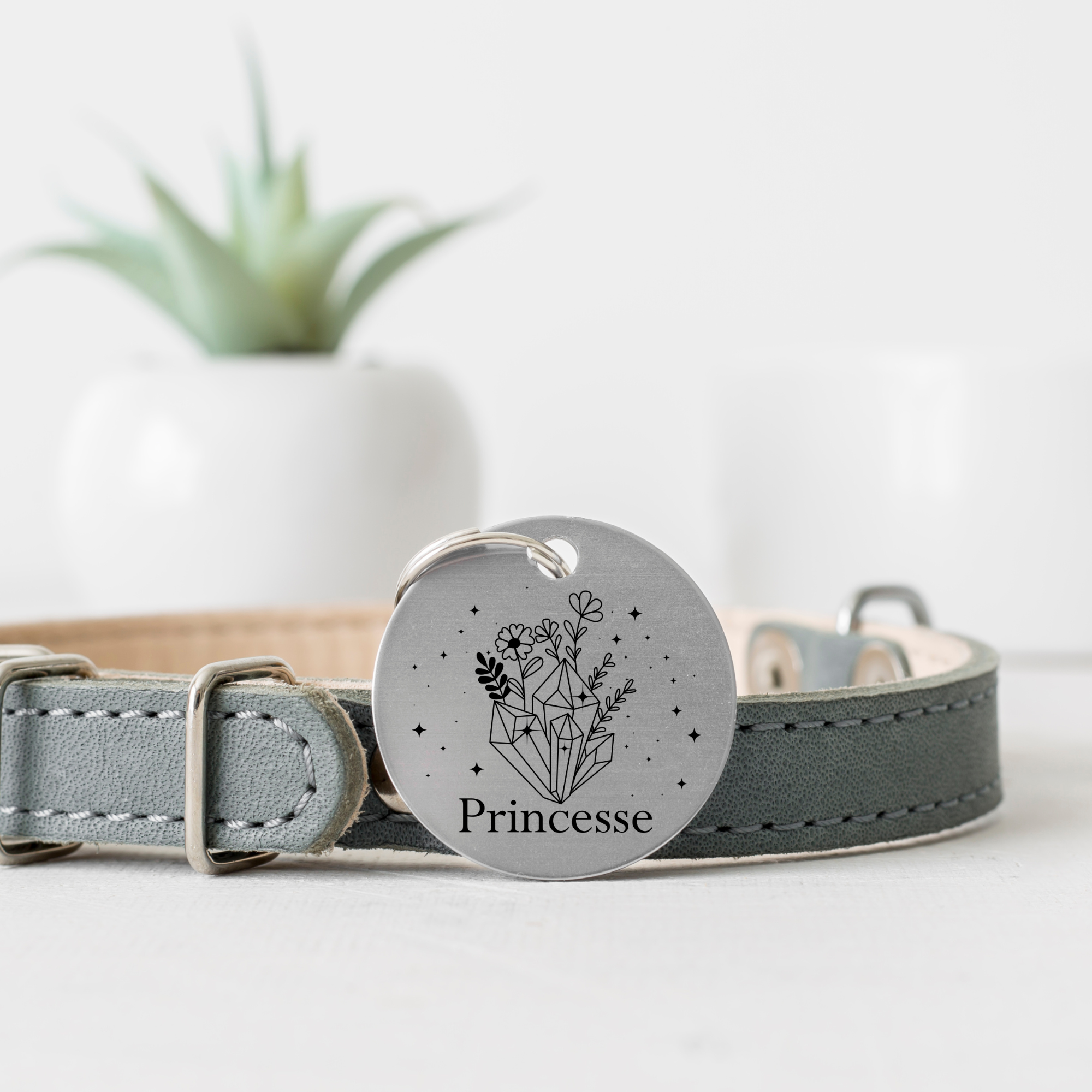 Princesse.png