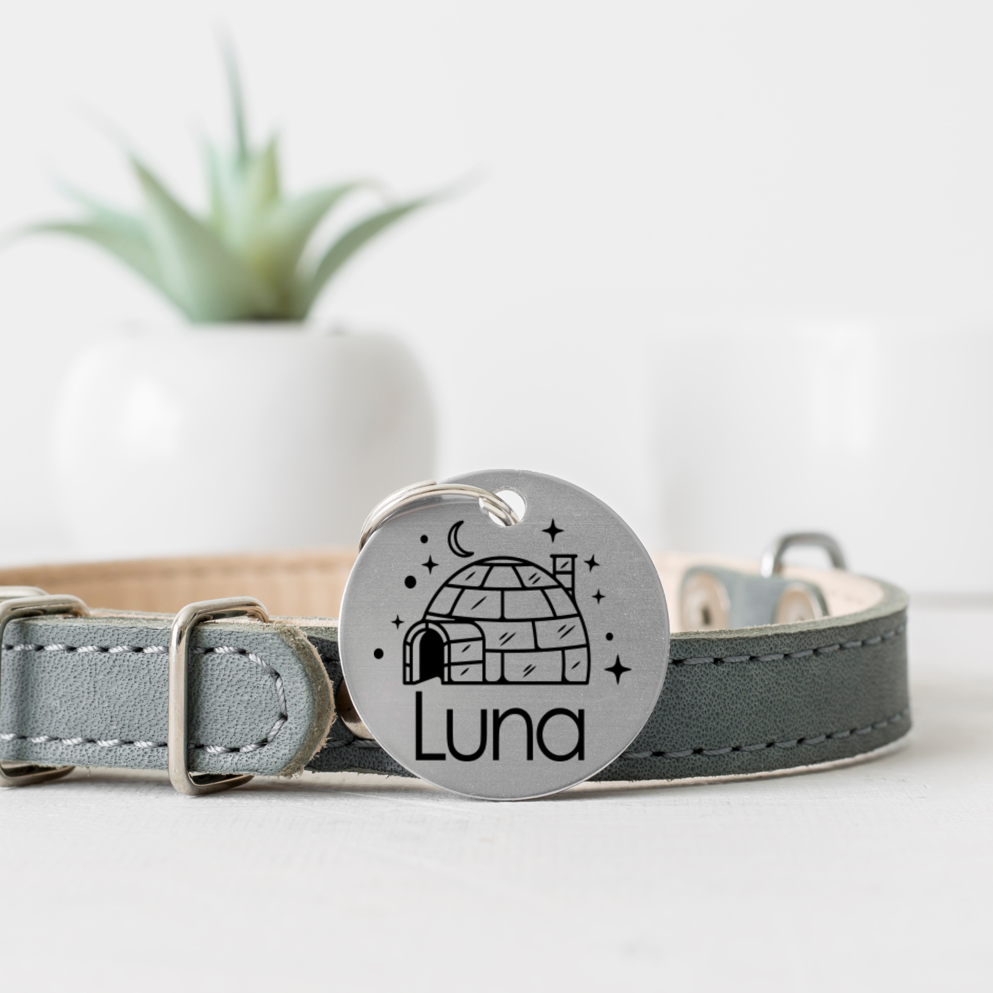 Luna.png