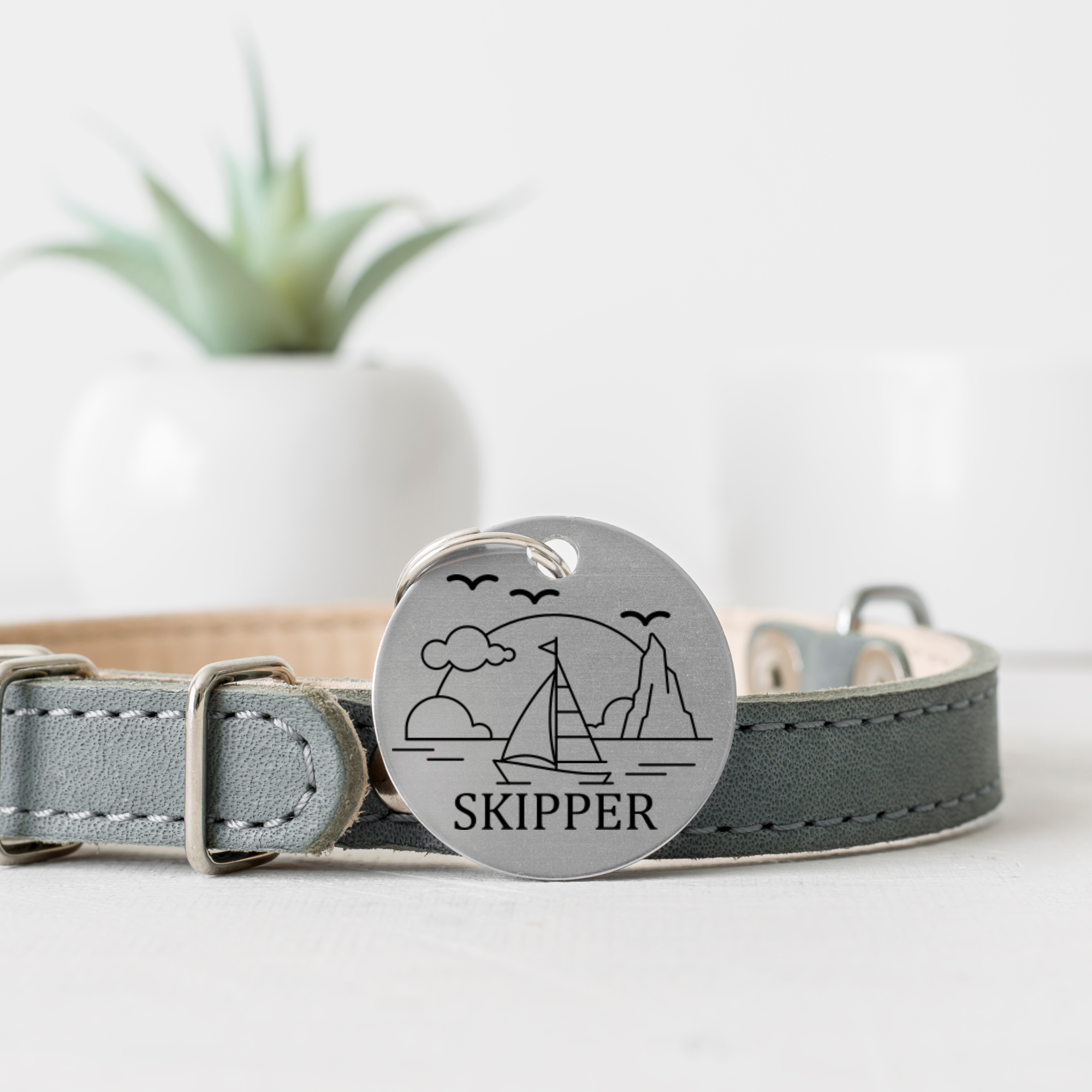 Skipper.png