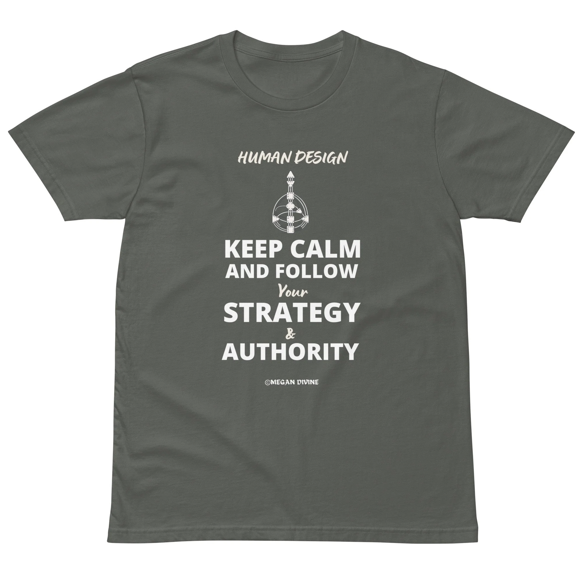 unisex-premium-t-shirt-charcoal-front-670dd45cec060.jpg