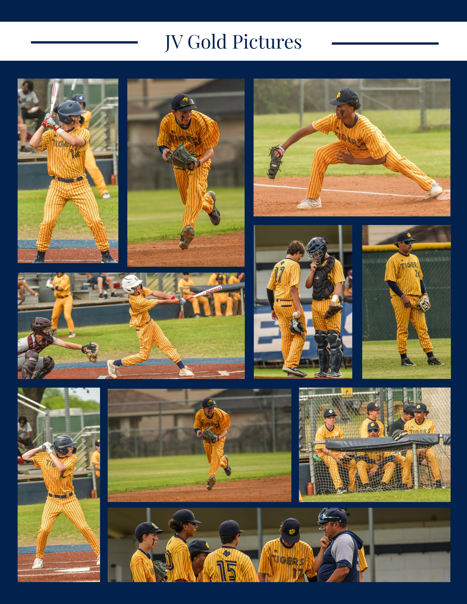 Copy of Copy of Varsity Tigers (2).png