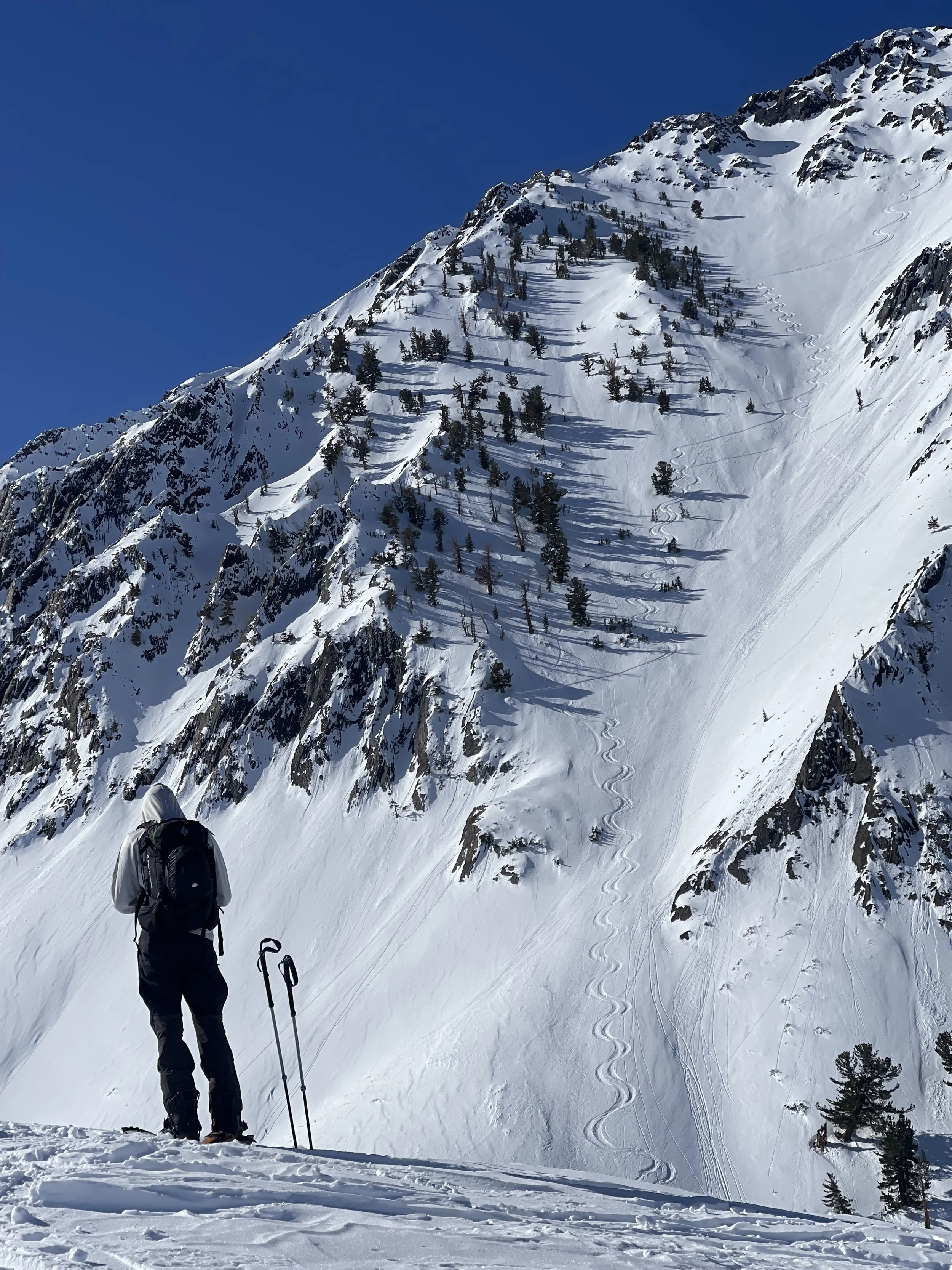 A person with a backpack and skiing poles stands on a snow-covered mountain under a clear blue sky, with ski tracks leading down a steep, snowy slope dotted with trees.