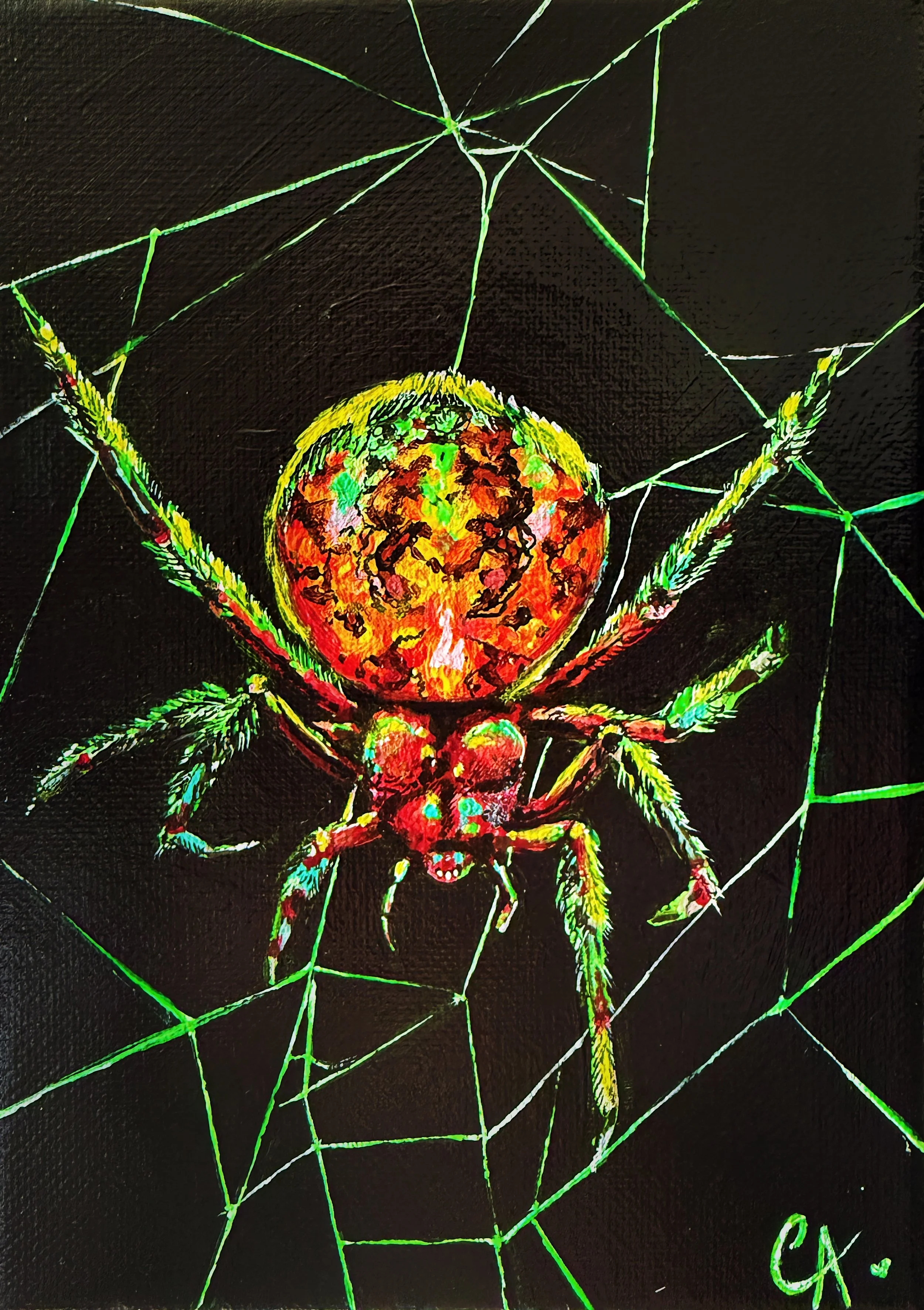 Marbled Orb Weaver for Print.JPG