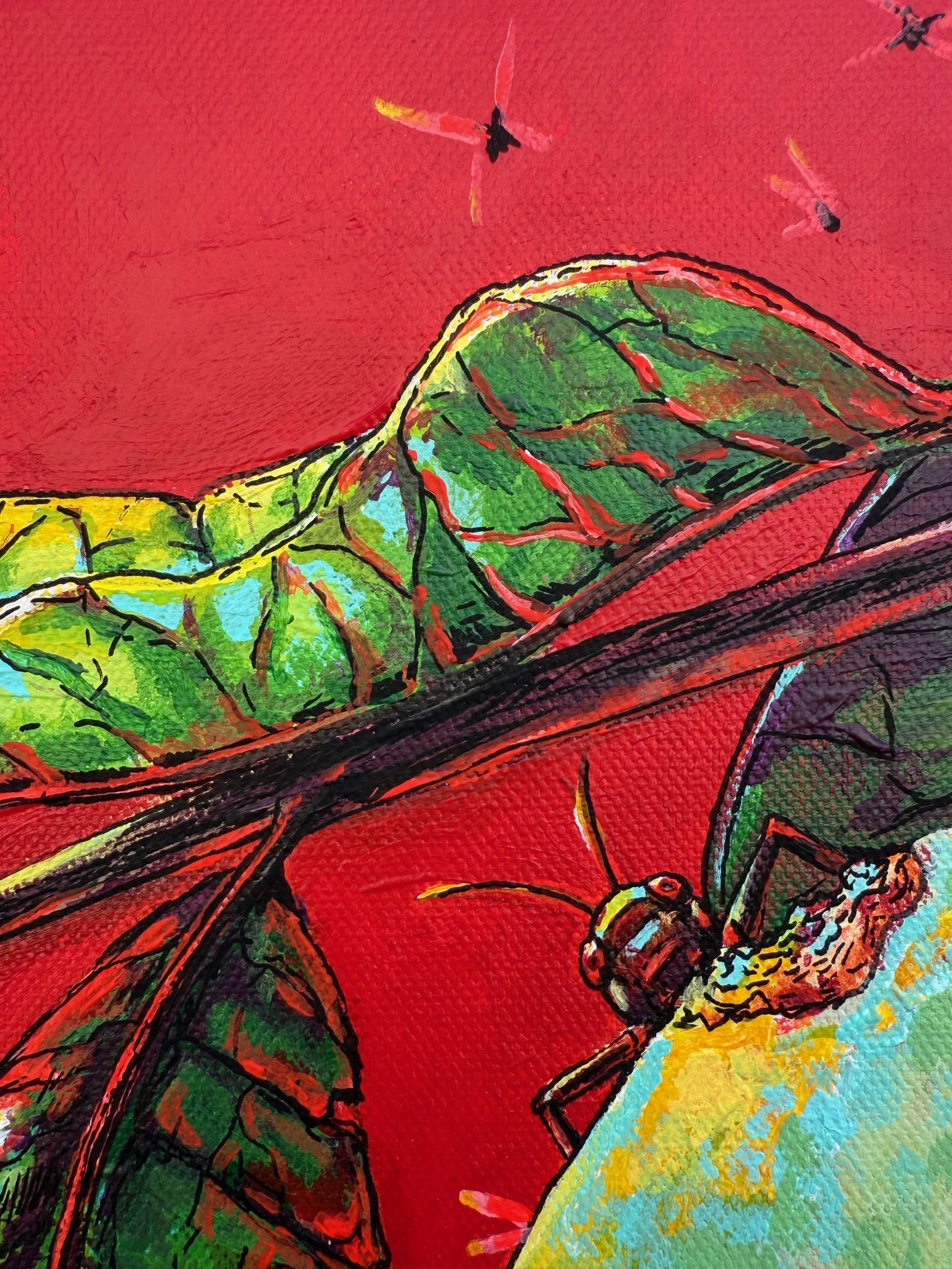 Paw Paw tree detail 4.JPG