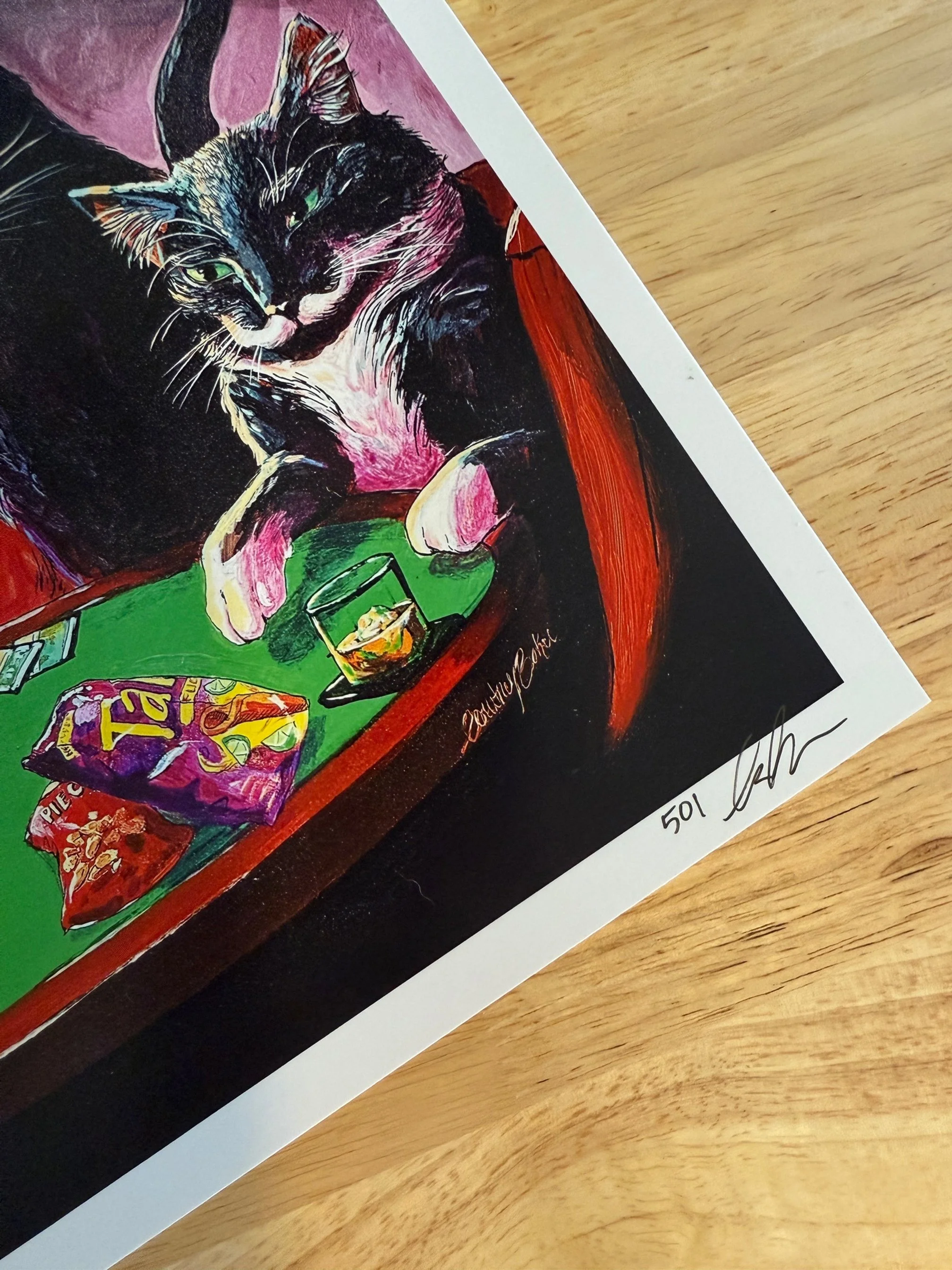 Cats Open Edition 2.0 - Numbrs.JPG