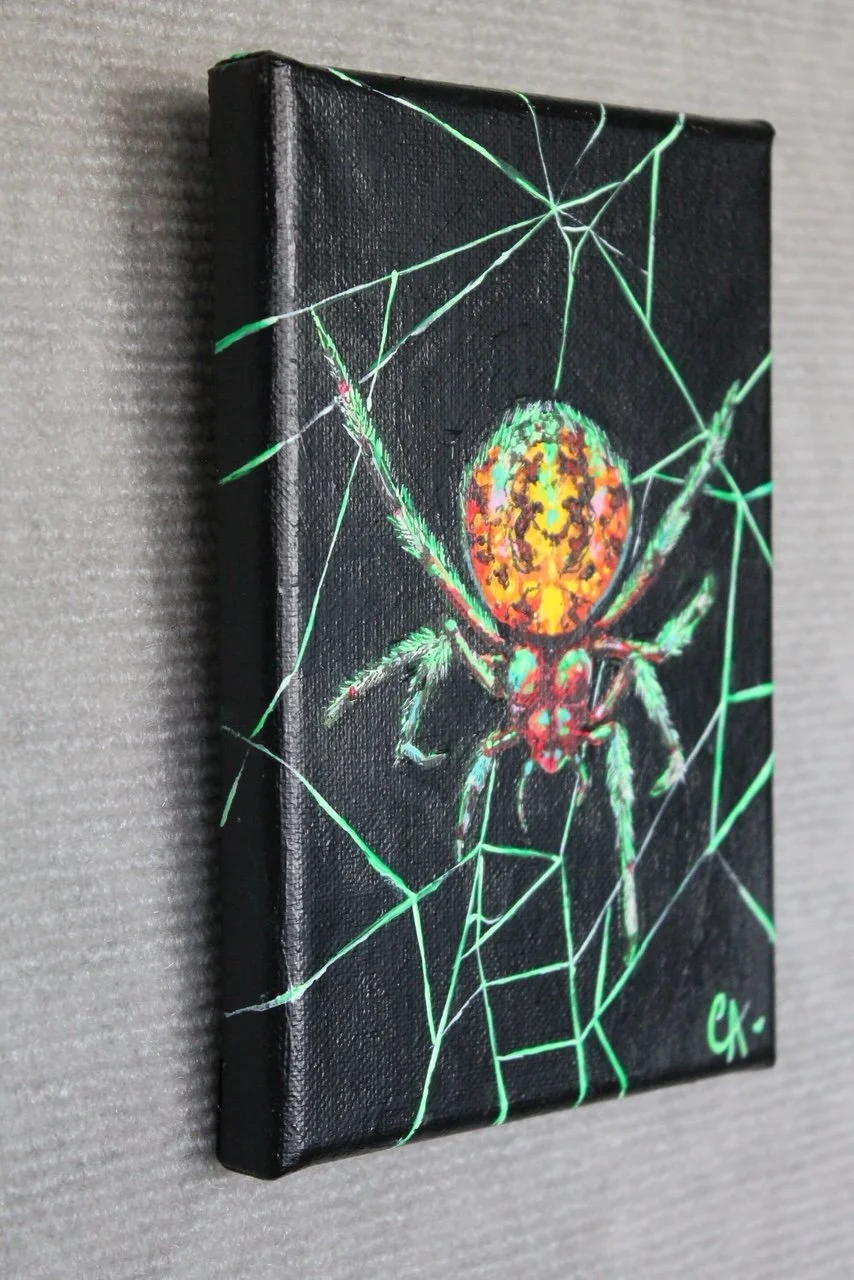 "Marbled Orb Weaver Study" - Mini Original Multimedia Painting (5"x7")