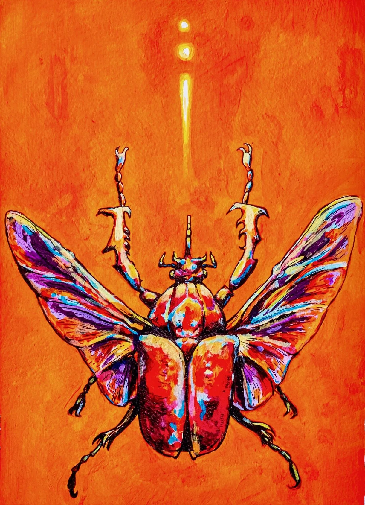 Beetle-Cropped.jpg