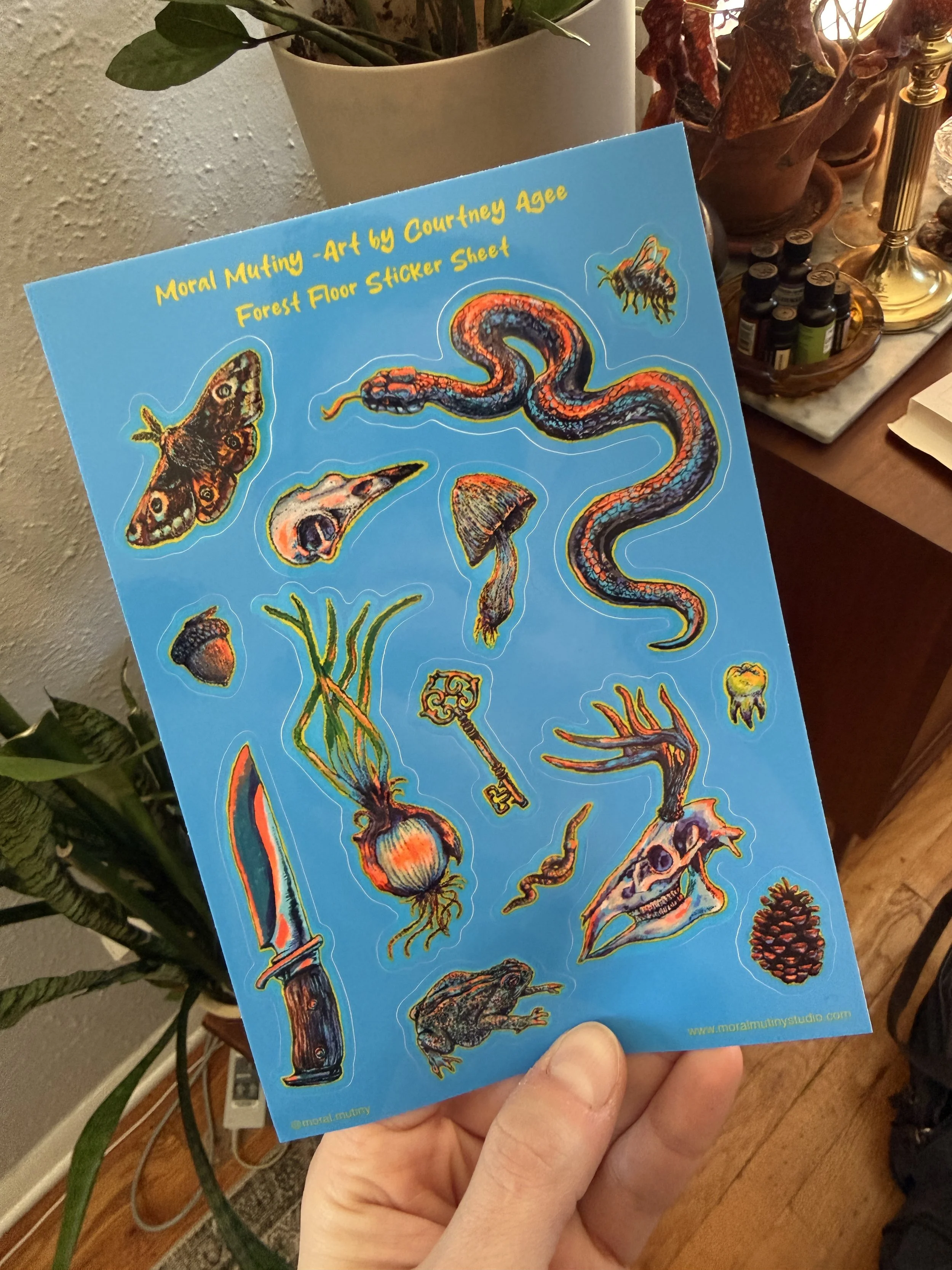 Forest Floor - Sticker Sheet