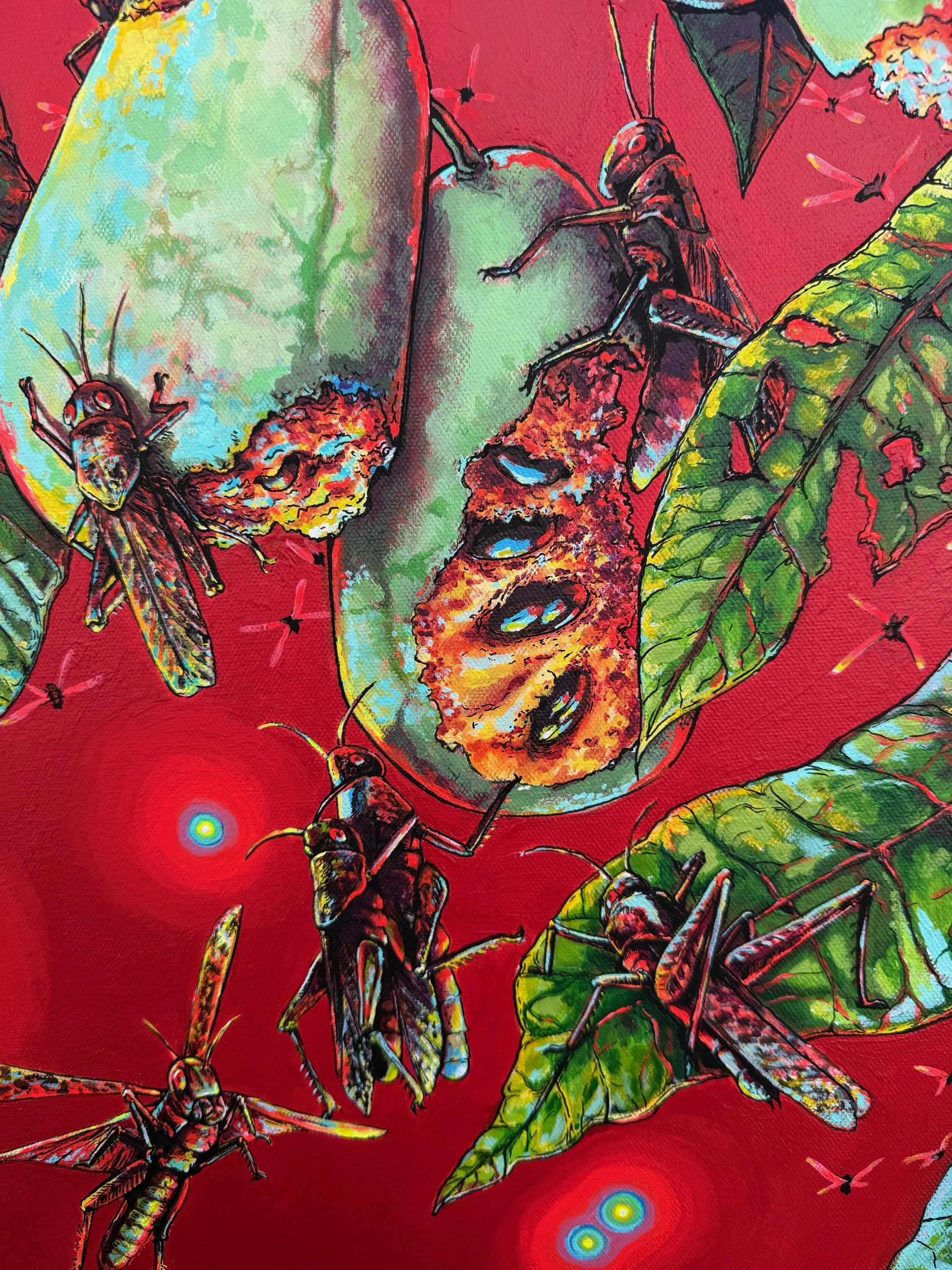 paw paw tree detail 3.JPG