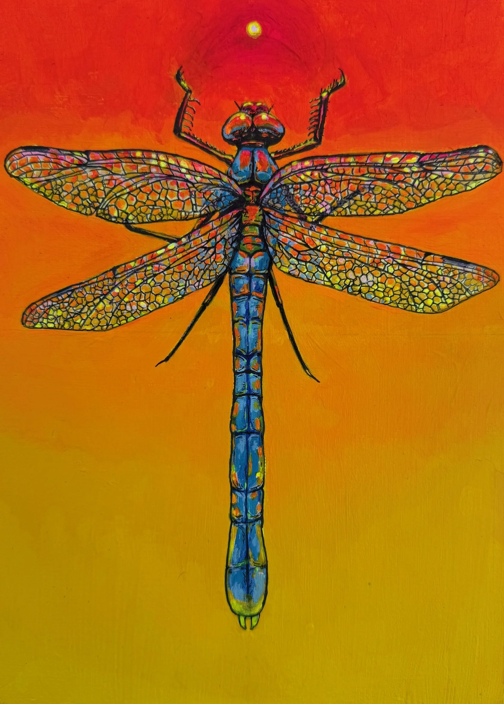 "Dragonfly Sunset" 
Acrylic & ink on paper, 9" x 12" 
2025