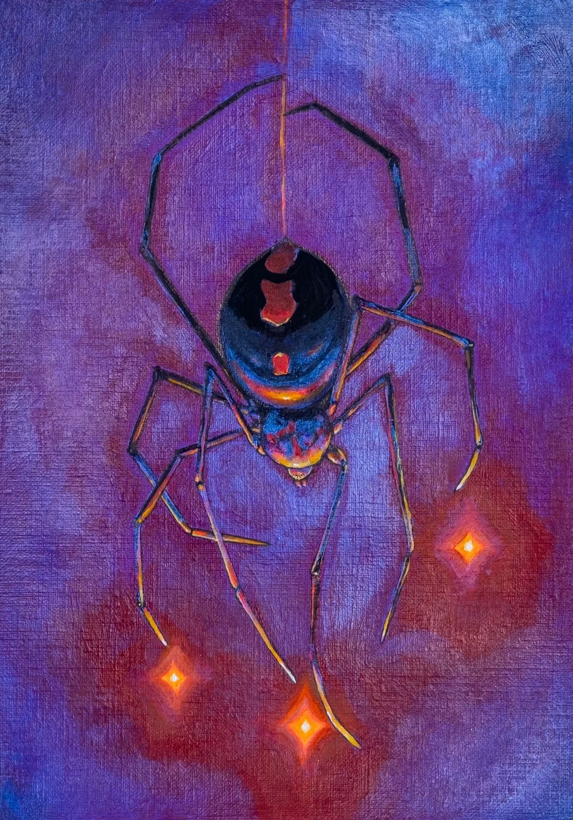 Cropped Spider.jpg