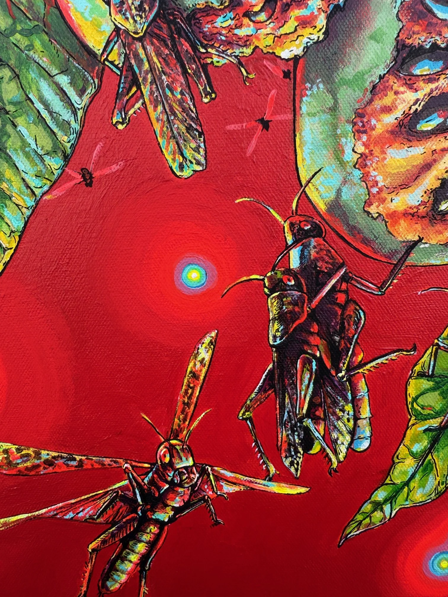 paw paw tree detail 2.JPG