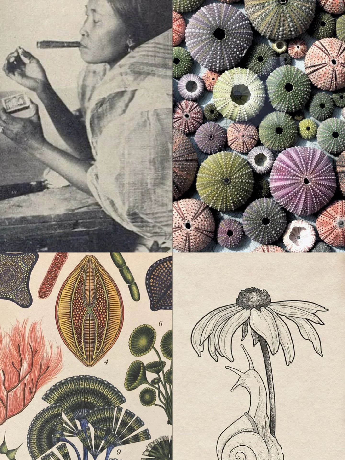 Current mood / board 💫