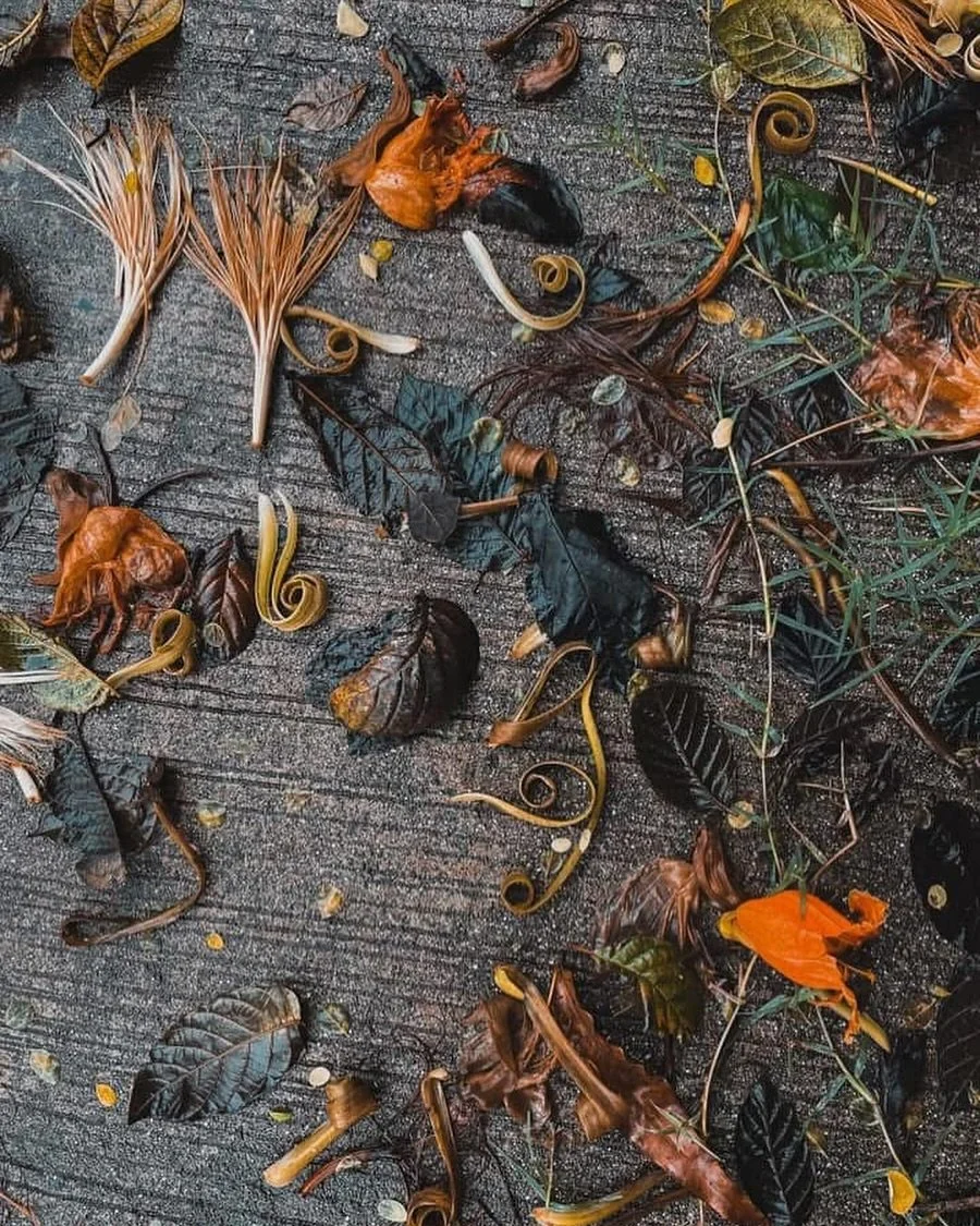 My dear Rooted Ones, how has your journey been faring? As for me I&rsquo;ve been deep in the underbelly of the Goddess, nurturing a babe, as well as simmering in new or resurfaced revelations. A particular thing I&rsquo;m currently chewing on:

There