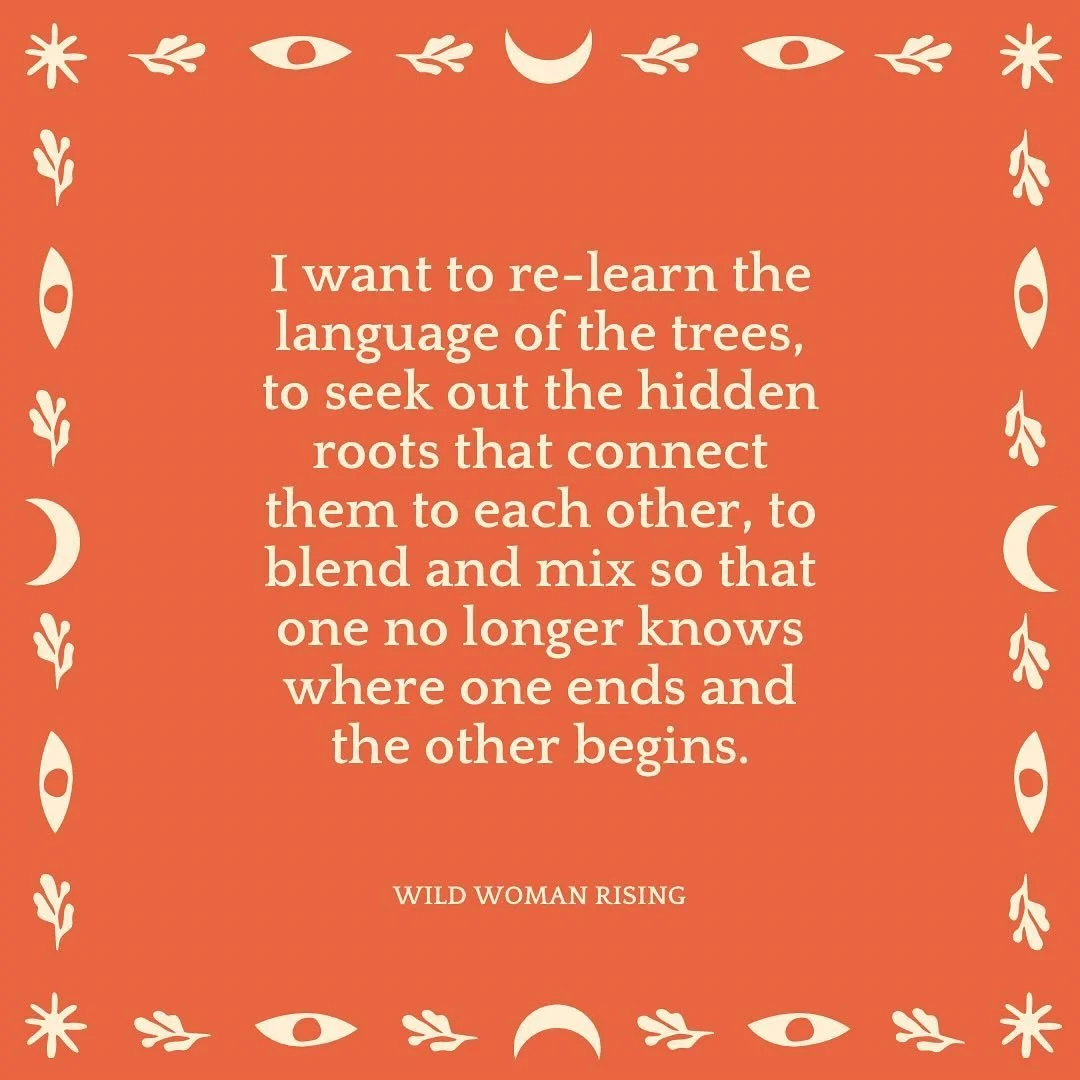 A wish 🌿

- @eearthchildd