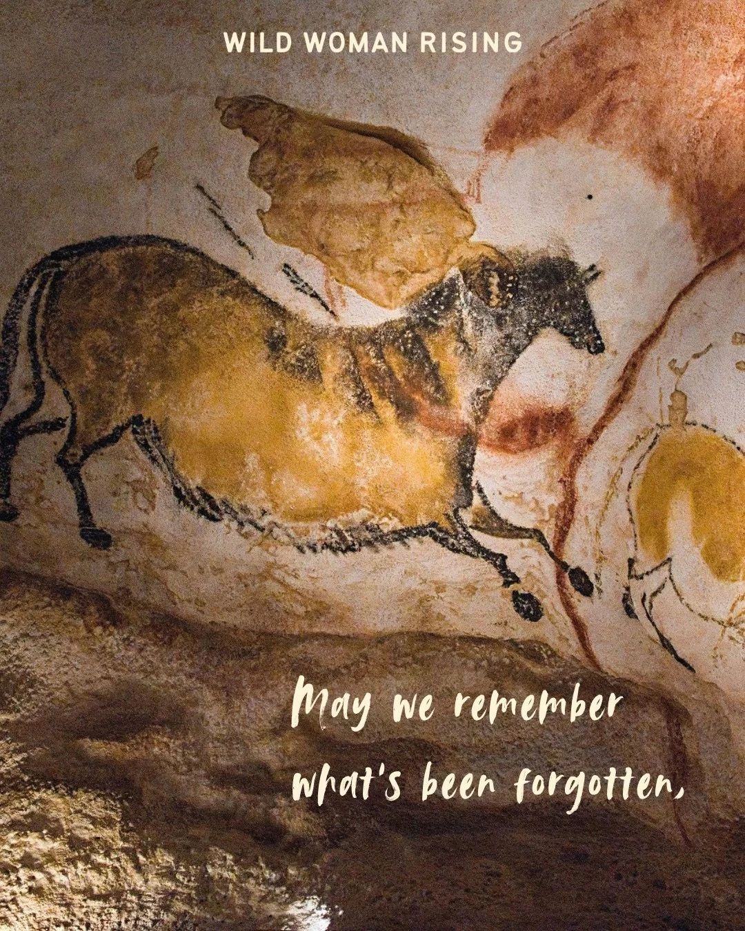 Writing&rsquo;s on the wall..
Breakthroughs from the dream world, condensed into a few words on my phone at the break of dawn while my daughter slept on one arm.

As we move swiftly into this Fire Horse Year, my wish is for us to embody this magnific